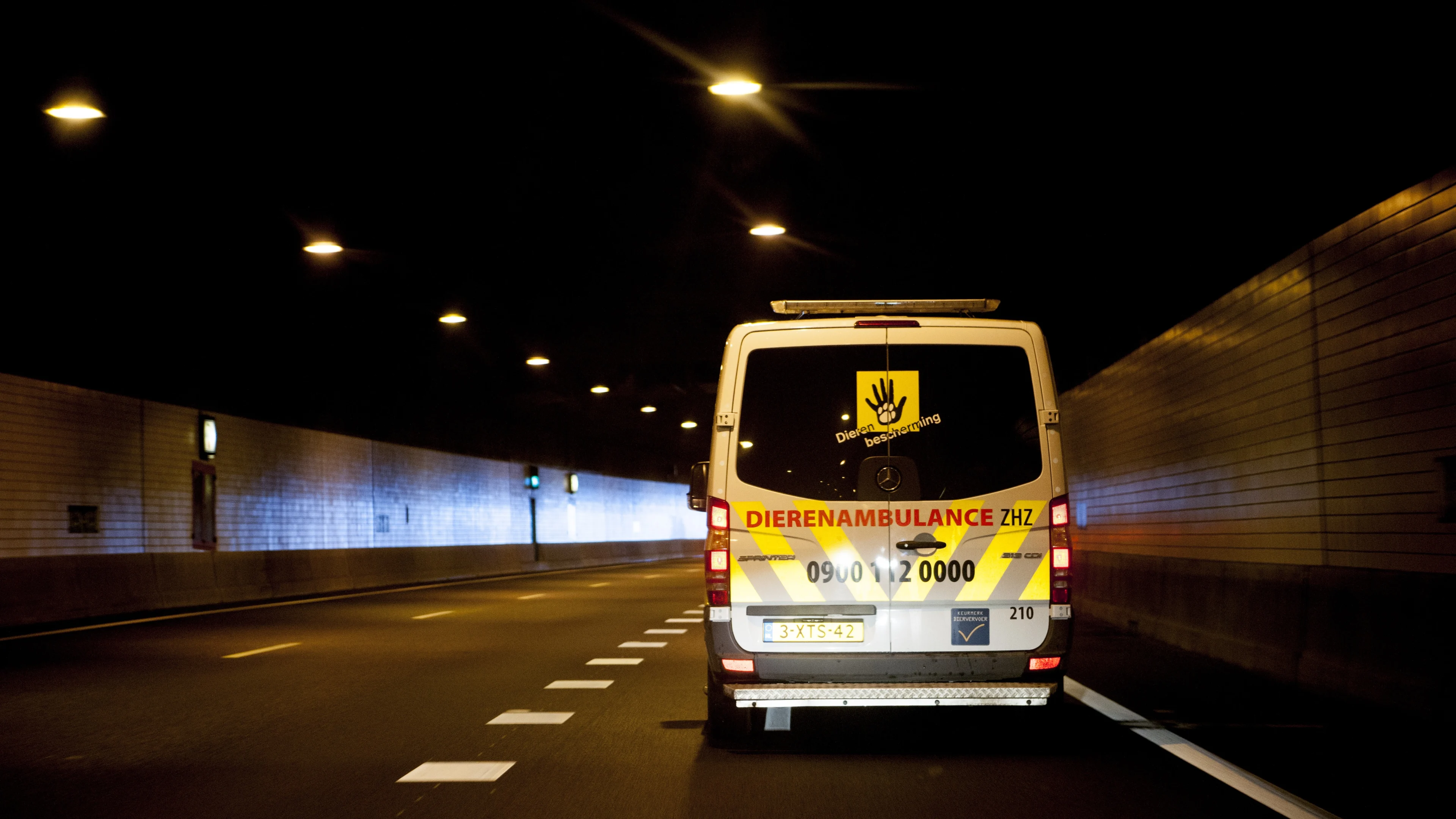 Tientallen telefoontjes: Dierenbescherming druk met vermiste dieren tijdens jaarwisseling 