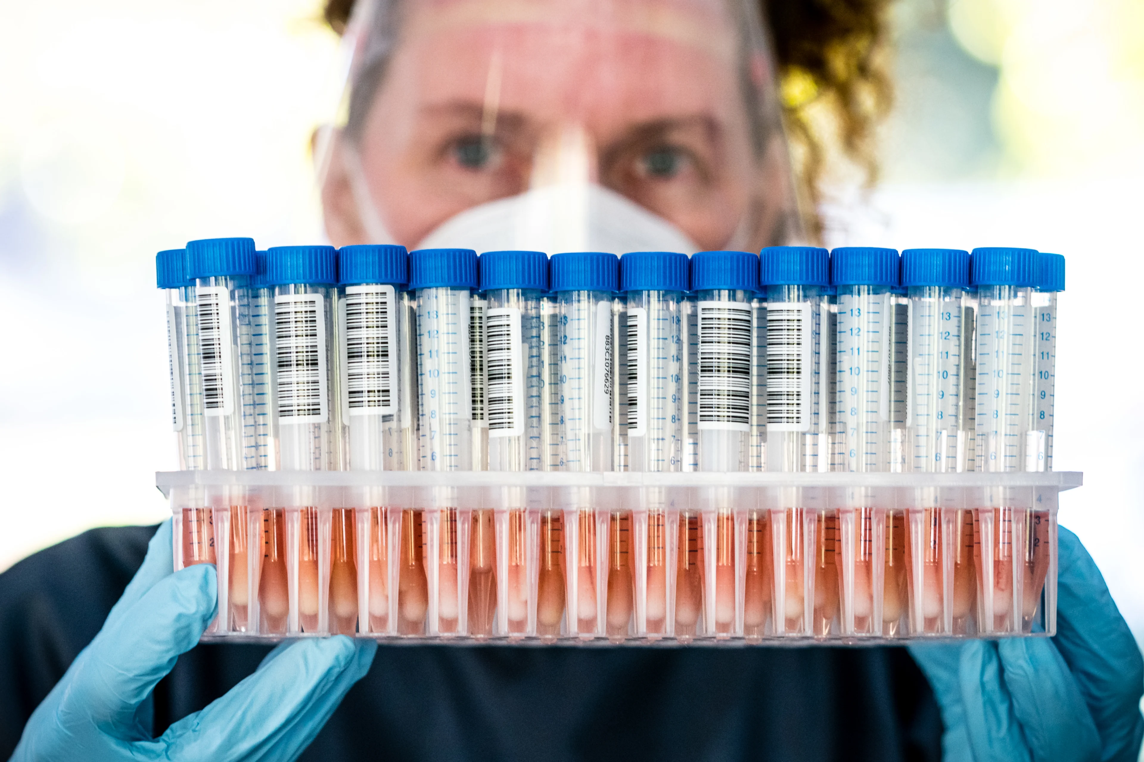 Aantal positieve coronatests licht gedaald, aantal ziekenhuisopnames blijft stijgen