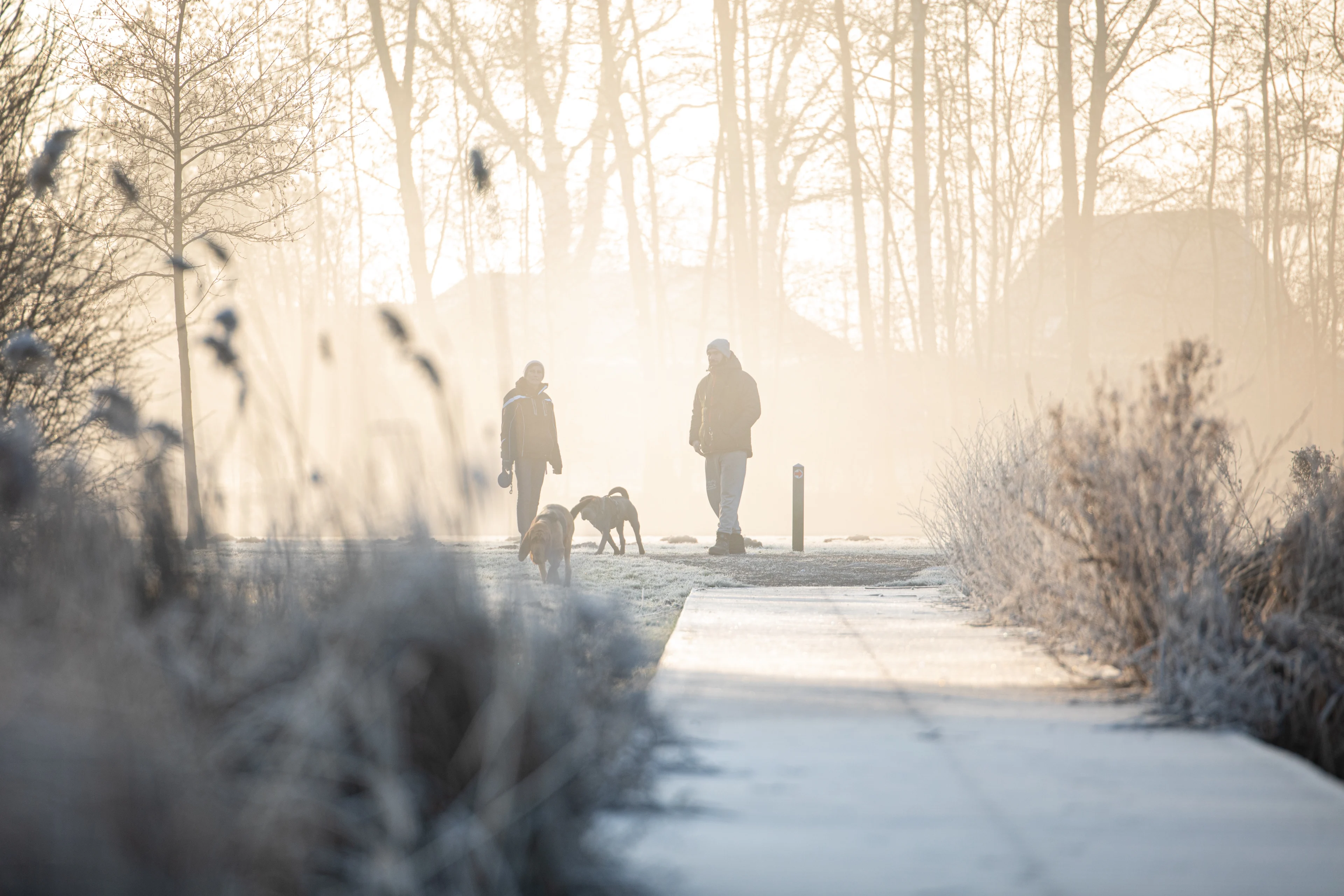 Weerspreuken onder de loep: wat vertellen ze ons over de komende winter?