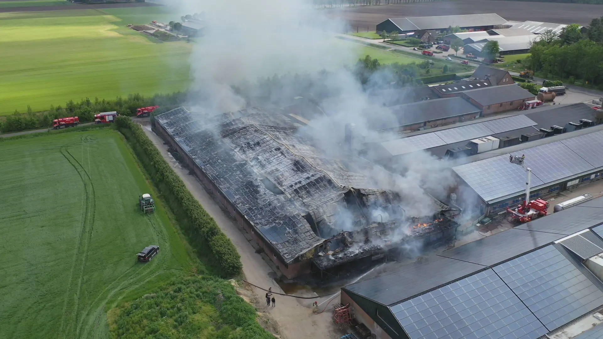 3000 varkens omgekomen bij grote brand, brandweer waarschuwt voor schadelijke rook