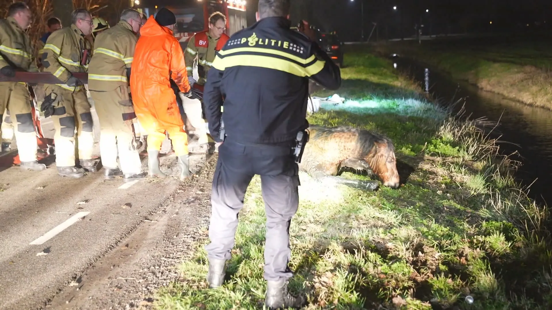 Twee paarden doodgereden in Berghem en Zoeterwoude