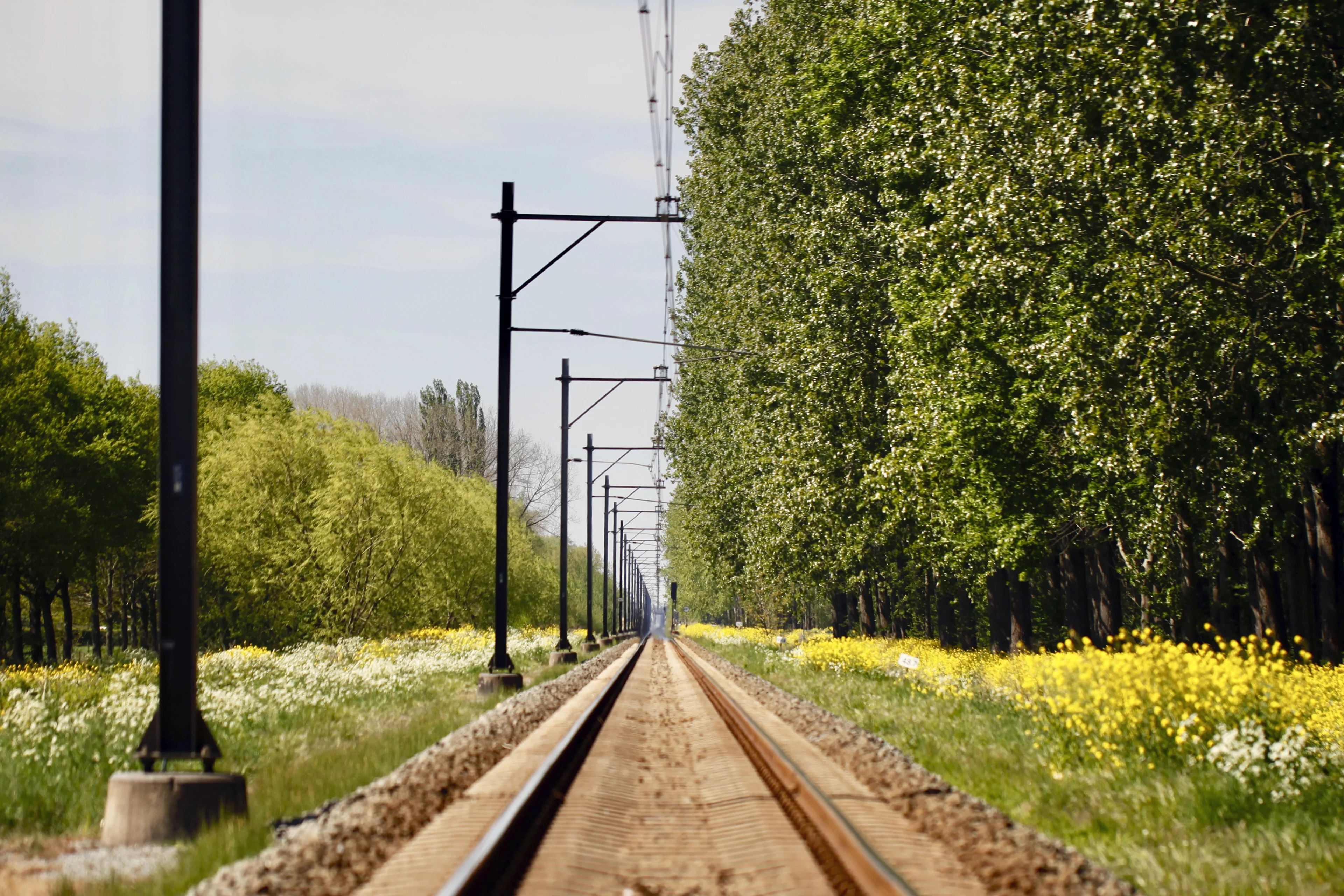 Treinverkeer rond Utrecht platgelegd om kinderen op spoor