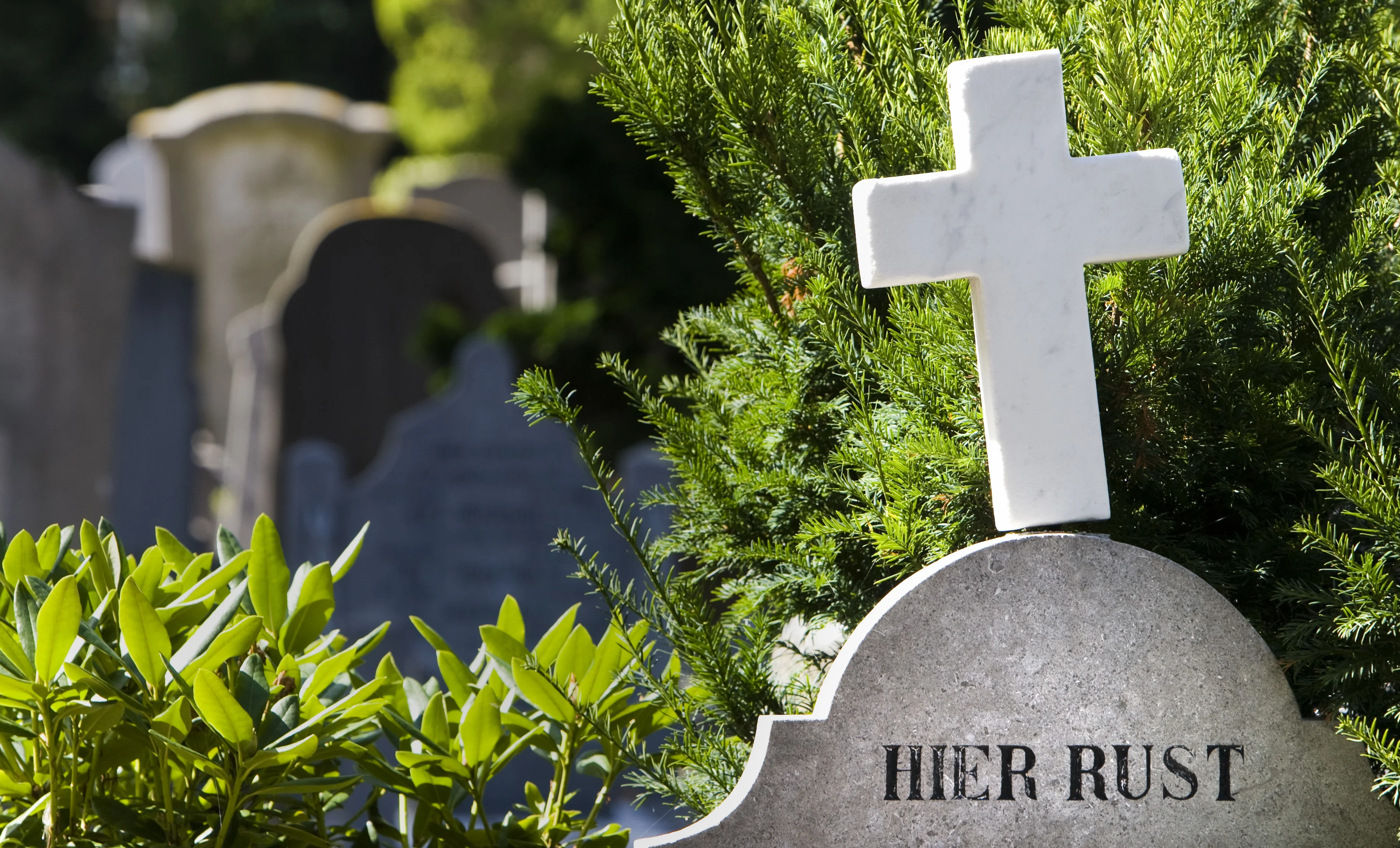 Vrouw (66) mishandeld en beroofd op begraafplaats in Nijmegen