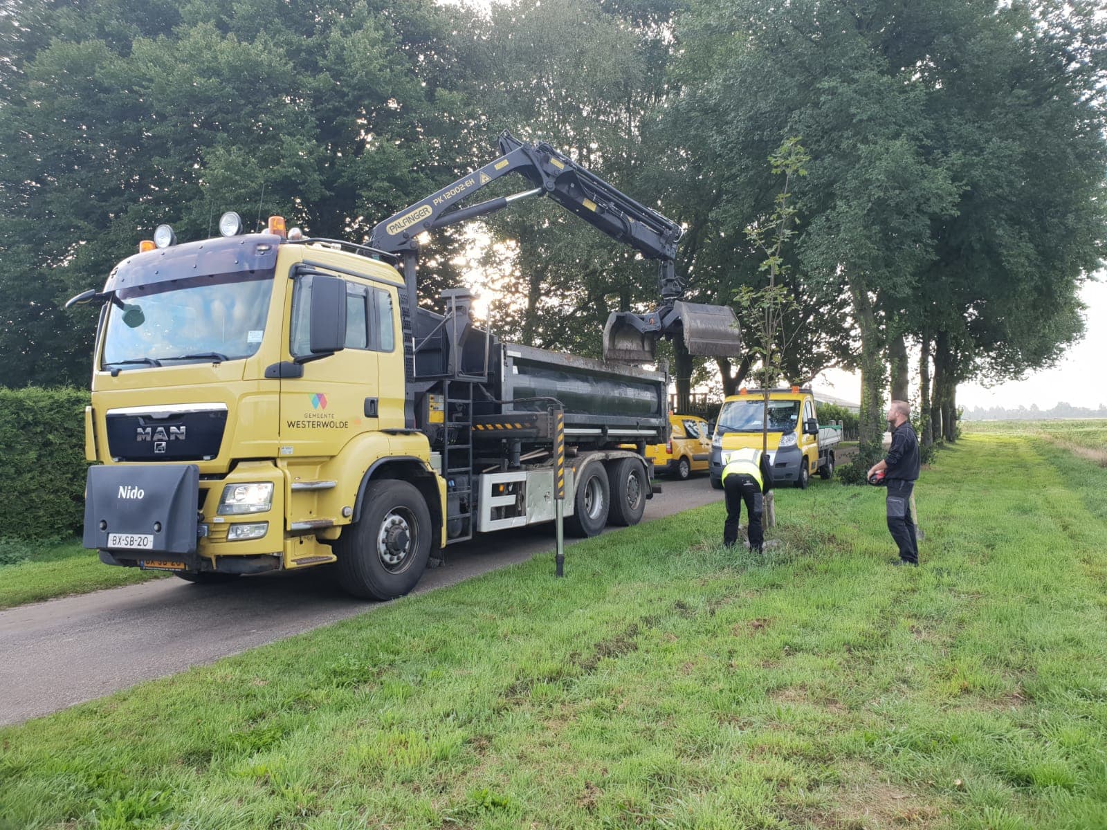 Gemeente haalt dodelijke bomen weg bij manege in Ter Apel