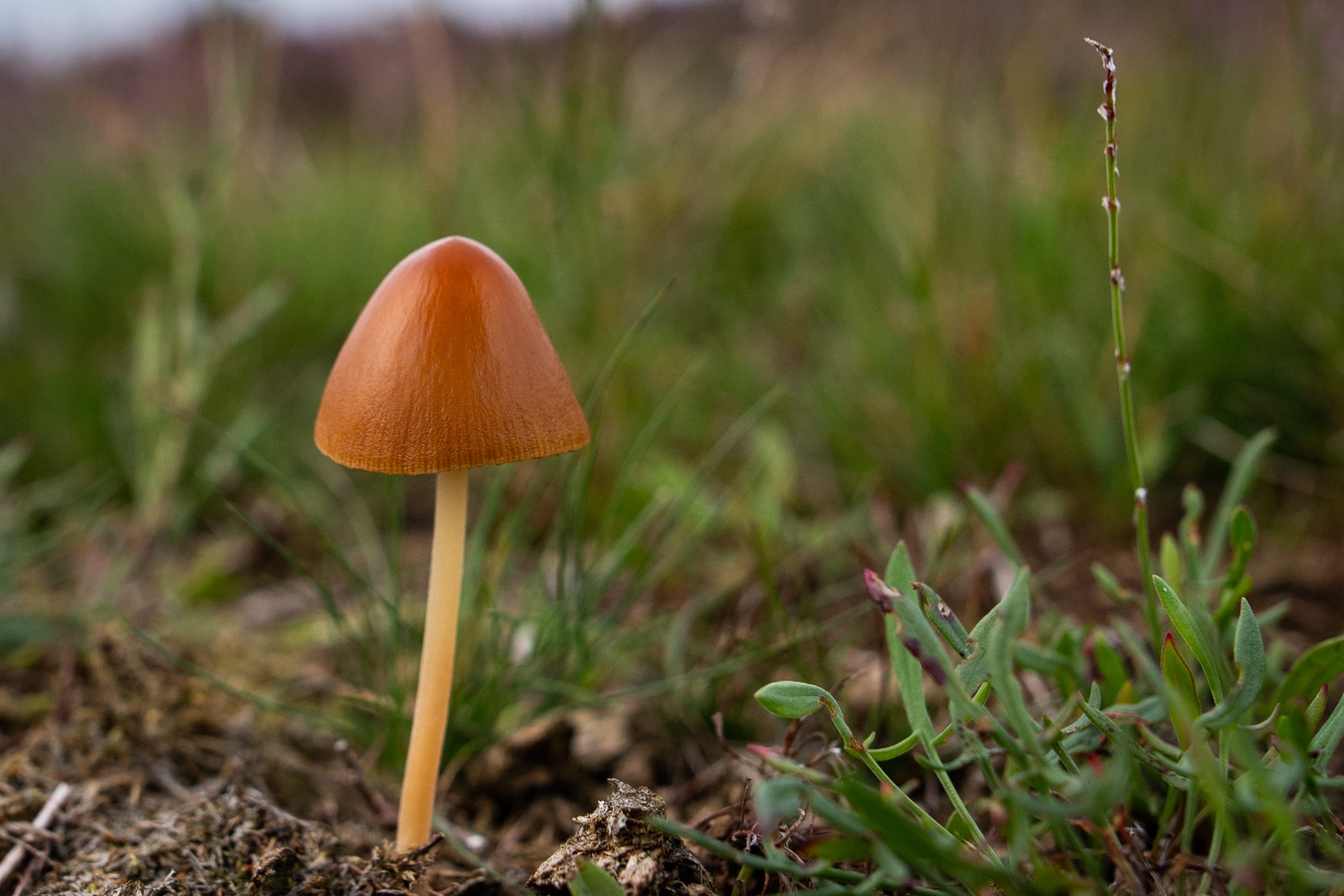 Herfst officieel van start: grote kans op winters weer