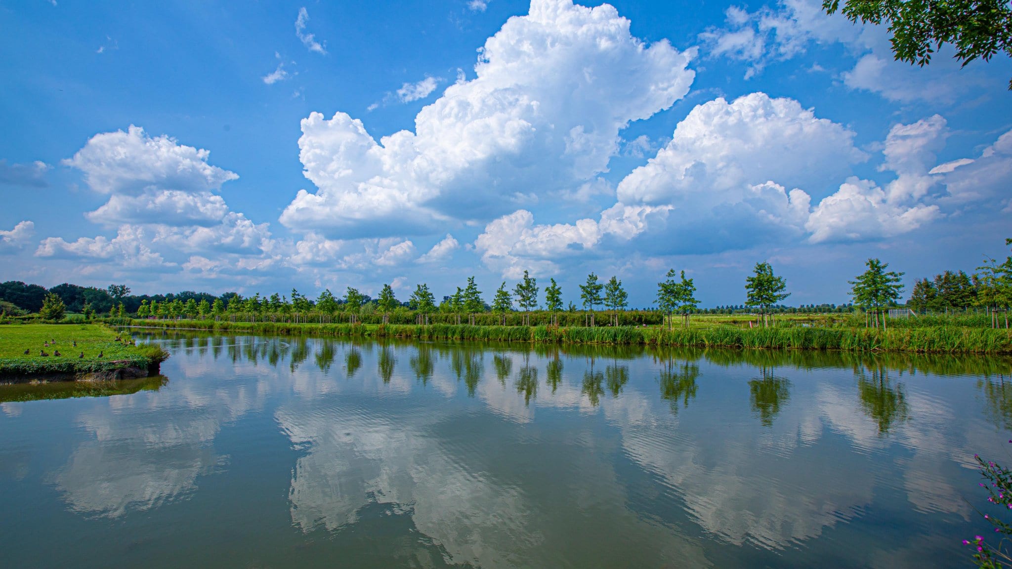 De zomer in Nederland zit nog steeds vast: wisselvalig met kans op onweer