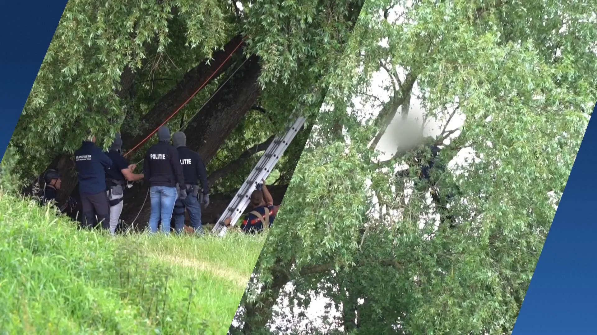 Net vrijgelaten man zet supermarkt op stelten en klimt in boom in Arnhem