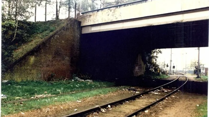 Politie zoekt man met kunsthand in 30 jaar oude verkrachtingszaak Amersfoort