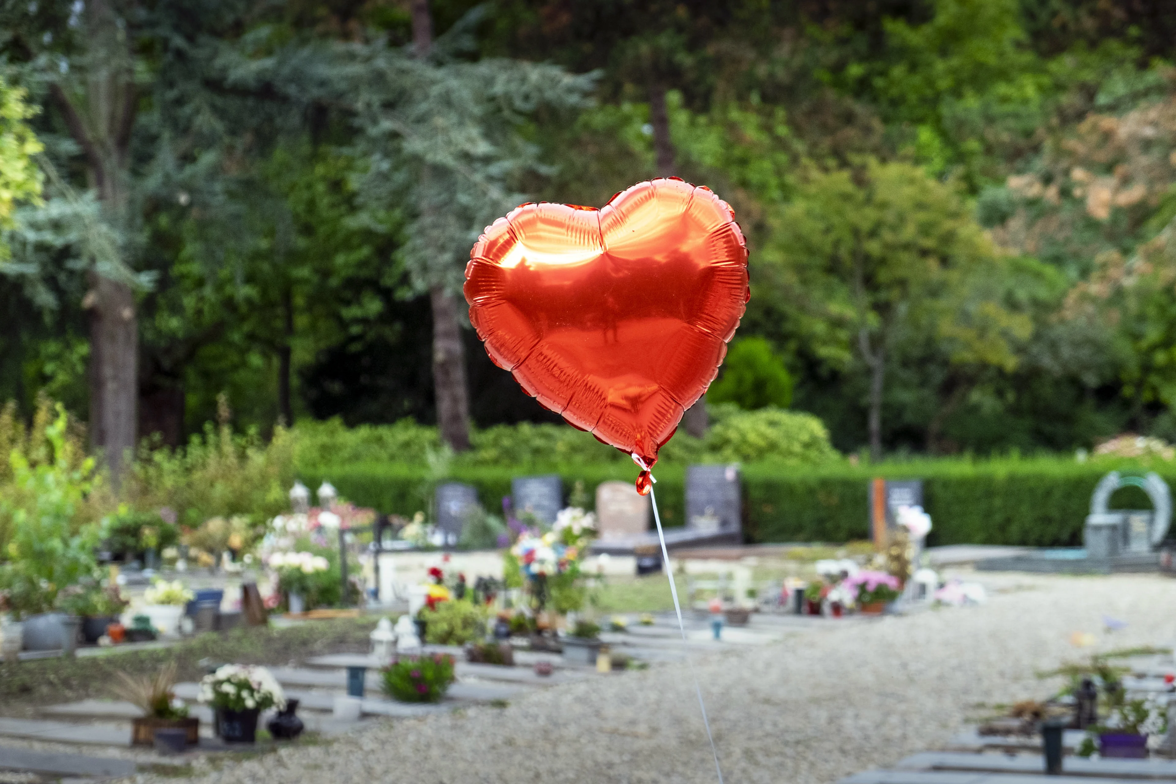 Sterfte door corona in zuiden van Nederland 8 keer hoger dan noorden