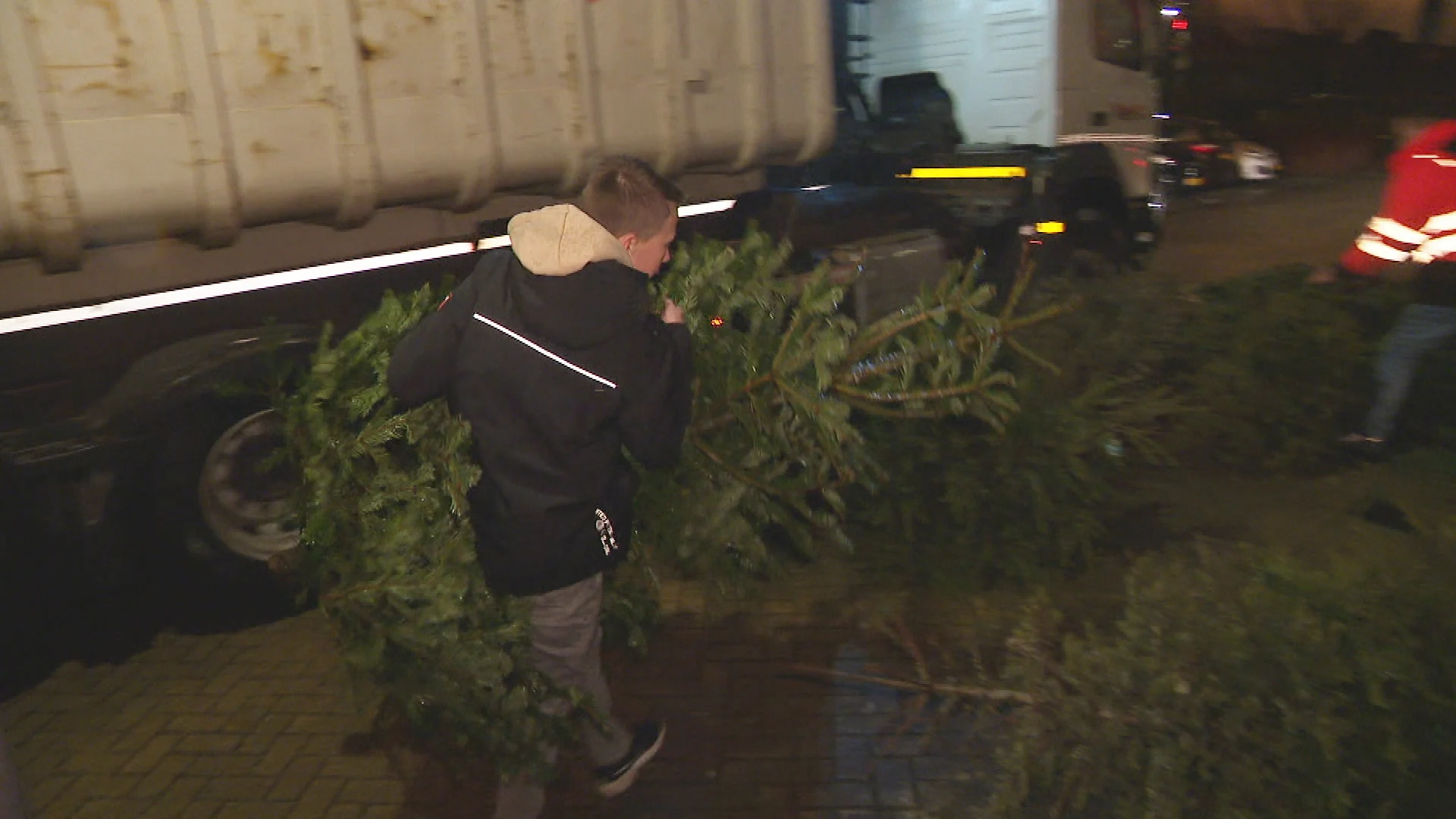 Kinderen helpen gemeente Westland met ophalen kerstbomen: 'Emmer vol geld'