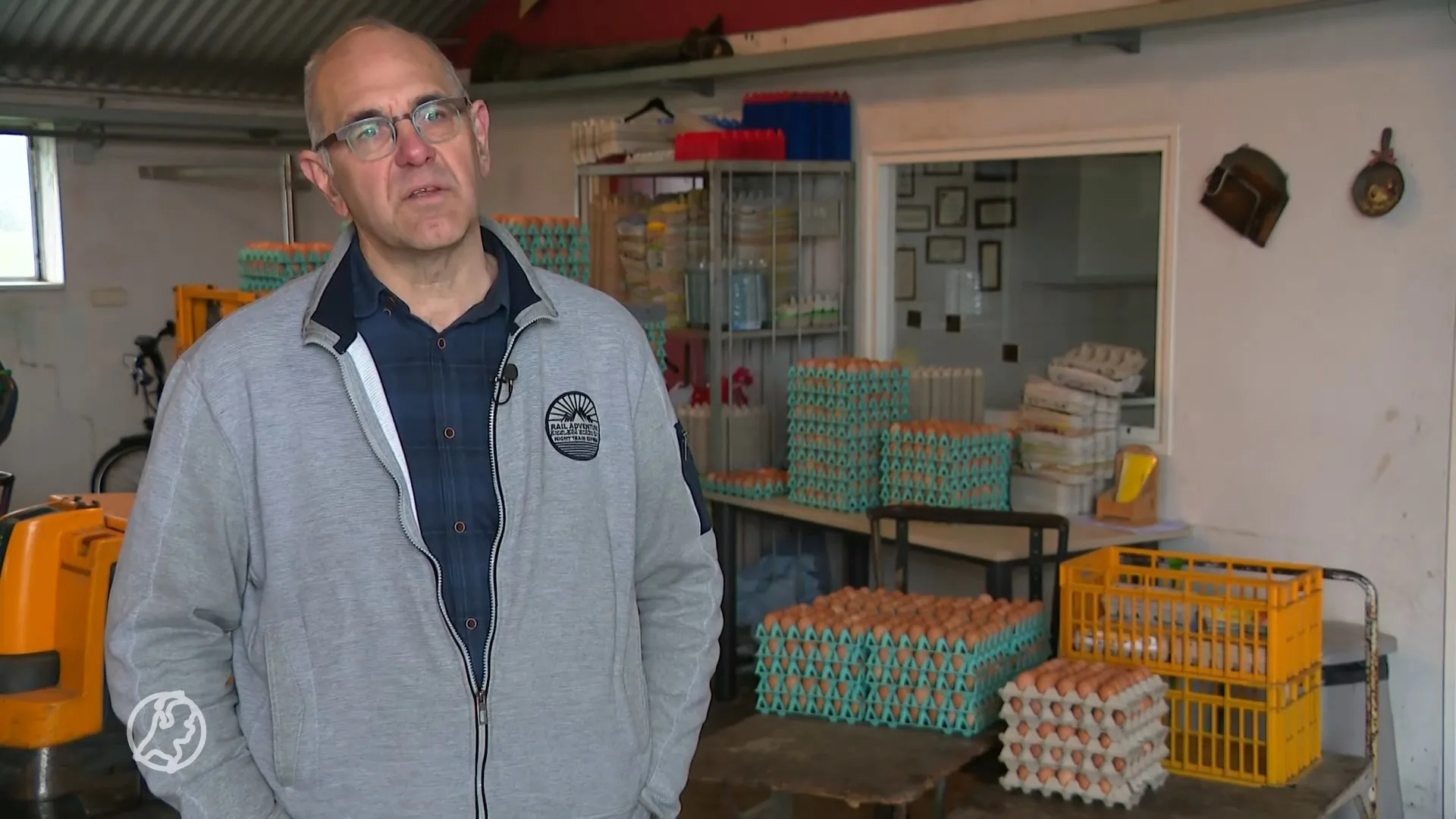 'Maak haast met vaccin tegen vogelgriep om ruiming te voorkomen'