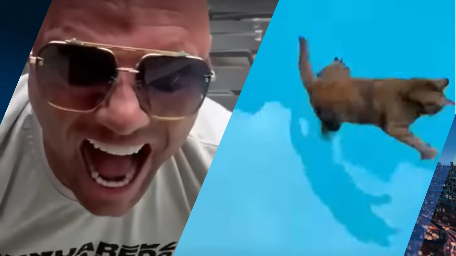 Woede om vlogger Alex Soze die kat in zwembad gooit: 'Hoe triest kun je zijn?'