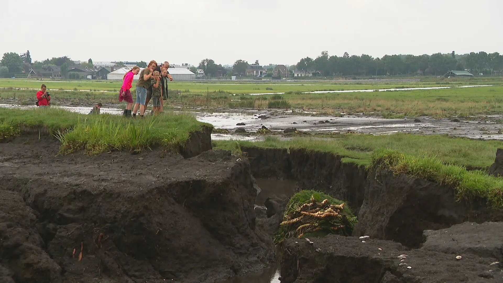 Dijk breekt door in Reeuwijk, veiligheidsdiensten brengen vee in veiligheid