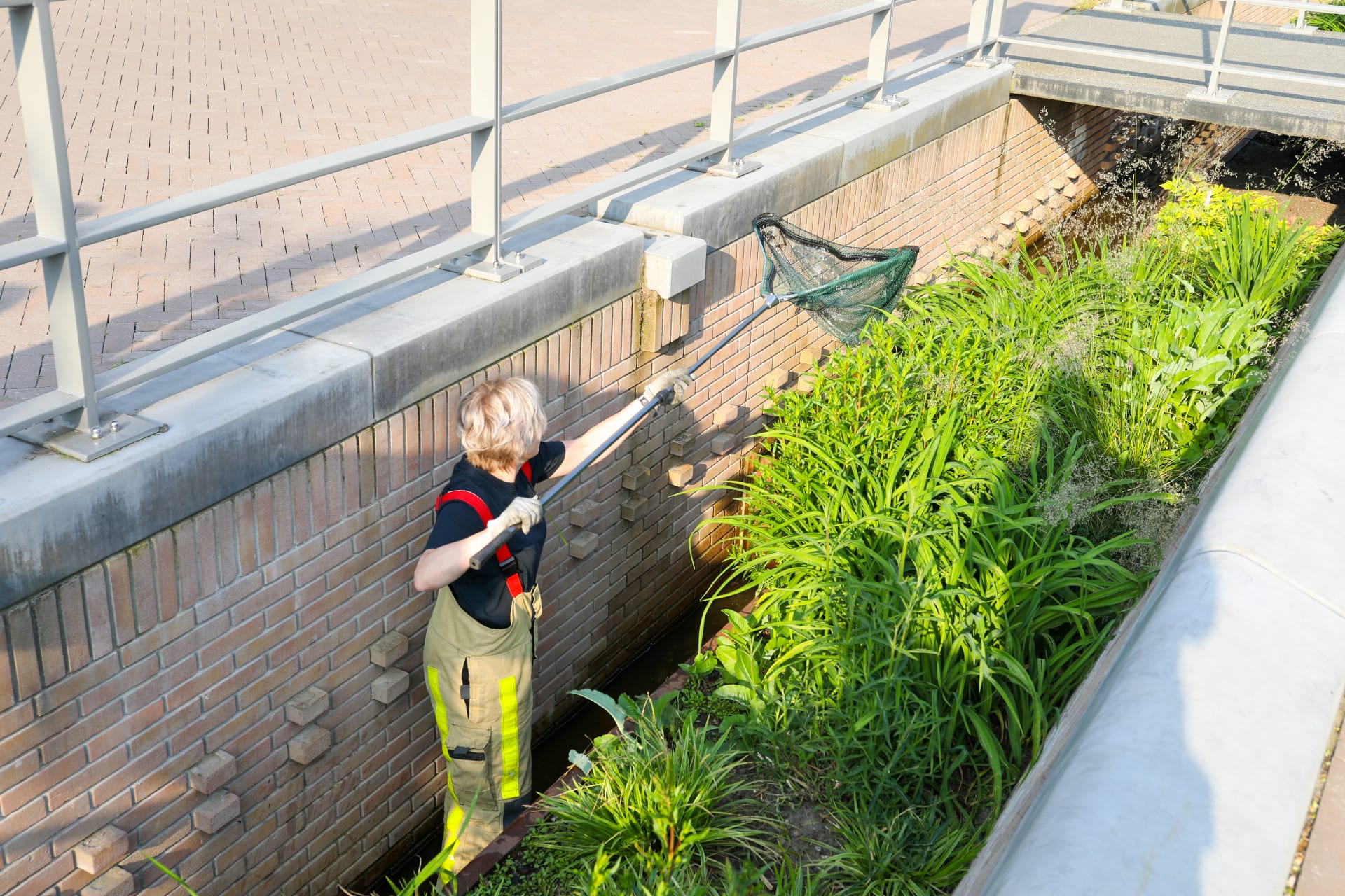 Brandweer in Apeldoorn redt twee babyeendjes uit het riool
