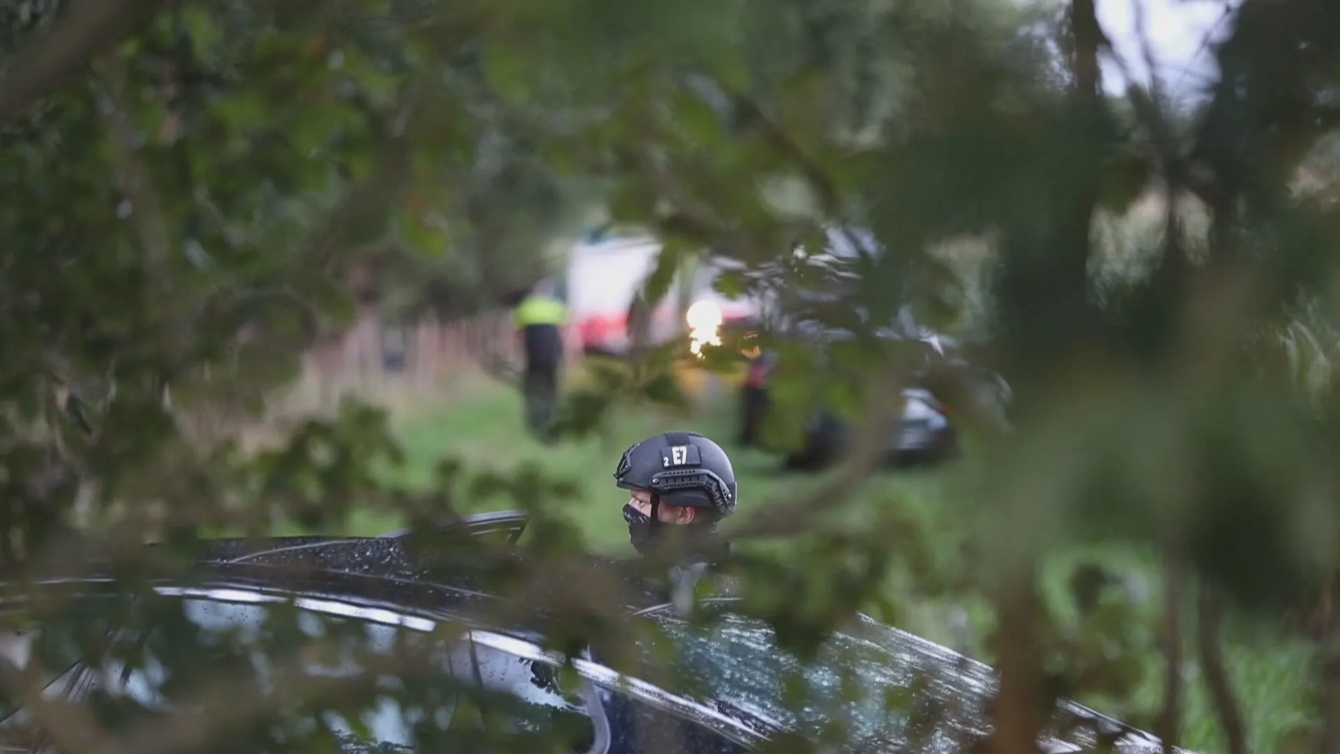 Politie neemt wapens in beslag op bosperceel in Zwolle