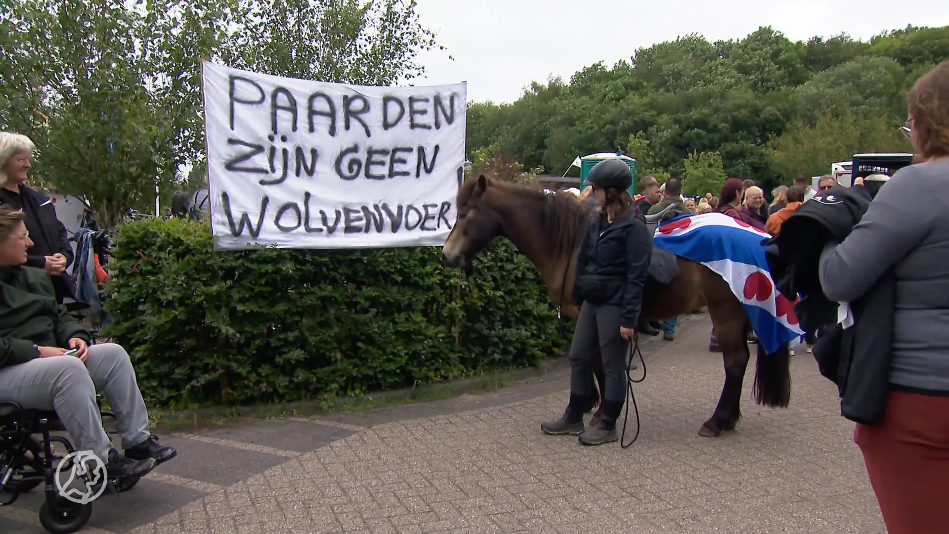 Omwonenden zijn het zat, stappen naar rechter om pony's te redden van de wolf