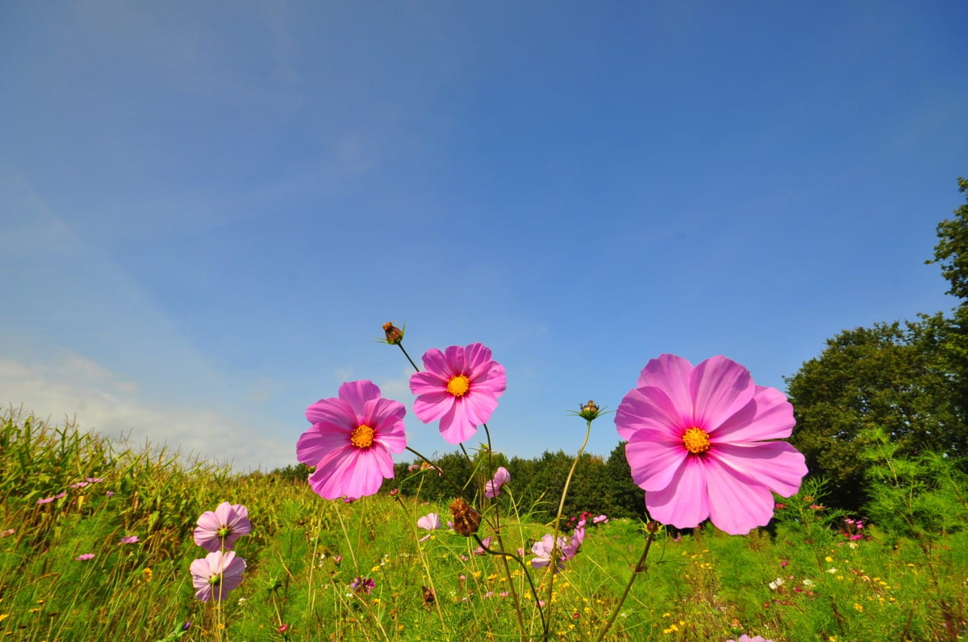 Een paar rustige en zonnige nazomerse dagen voor de boeg