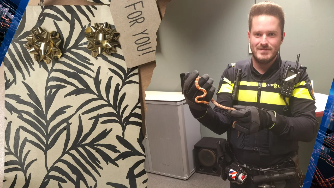 Onbekende stopt 'cadeautje' met slang door brievenbus Venlo