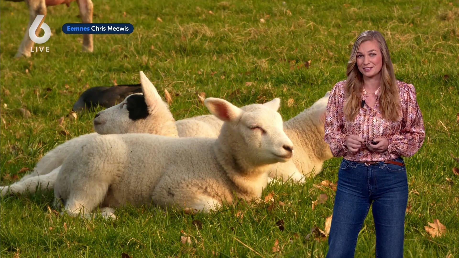 Video: Koude start van de week maar lenteweer staat voor de deur