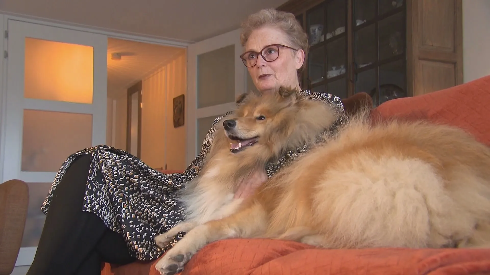 Hondje Zivah schrok van vuurwerk en was dagenlang vermist