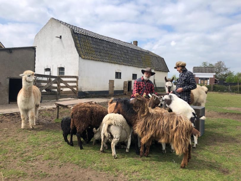 Roel's Beestenboel maakt ouderen in verpleeghuizen blij, maar krijgt nu geen noodsteun