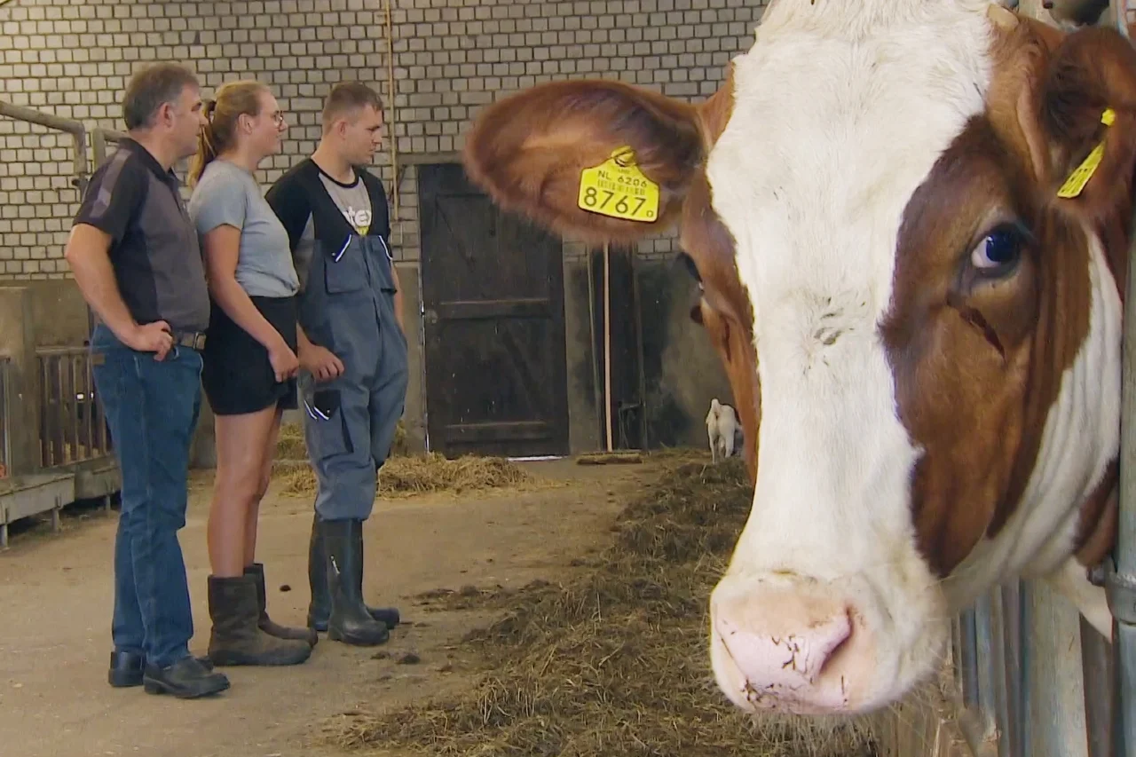 Boer Leo in spagaat: hij wil wél investeren om uitstoot te verminderen maar krijgt geen lening