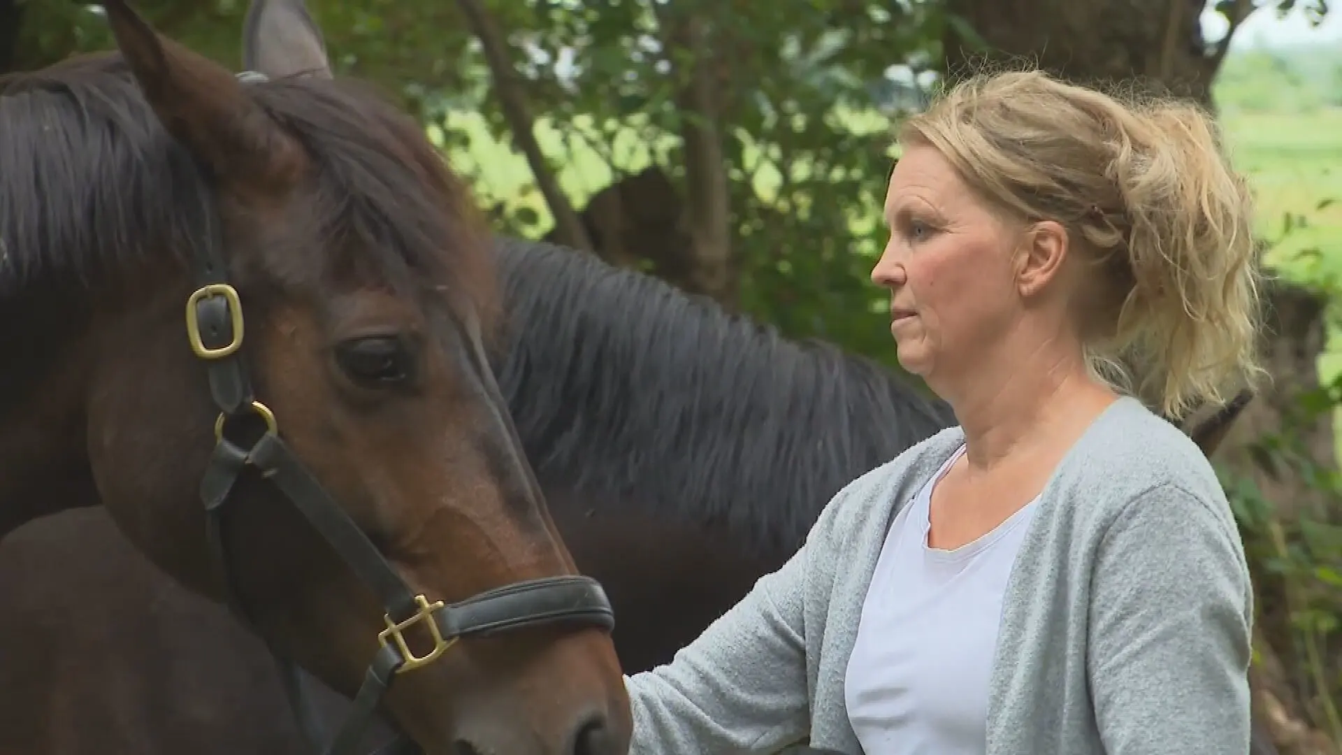 Vriendin van verdachte die 'huisslaaf' zou hebben gehouden: 'Verhaal is zwaar overtrokken'
