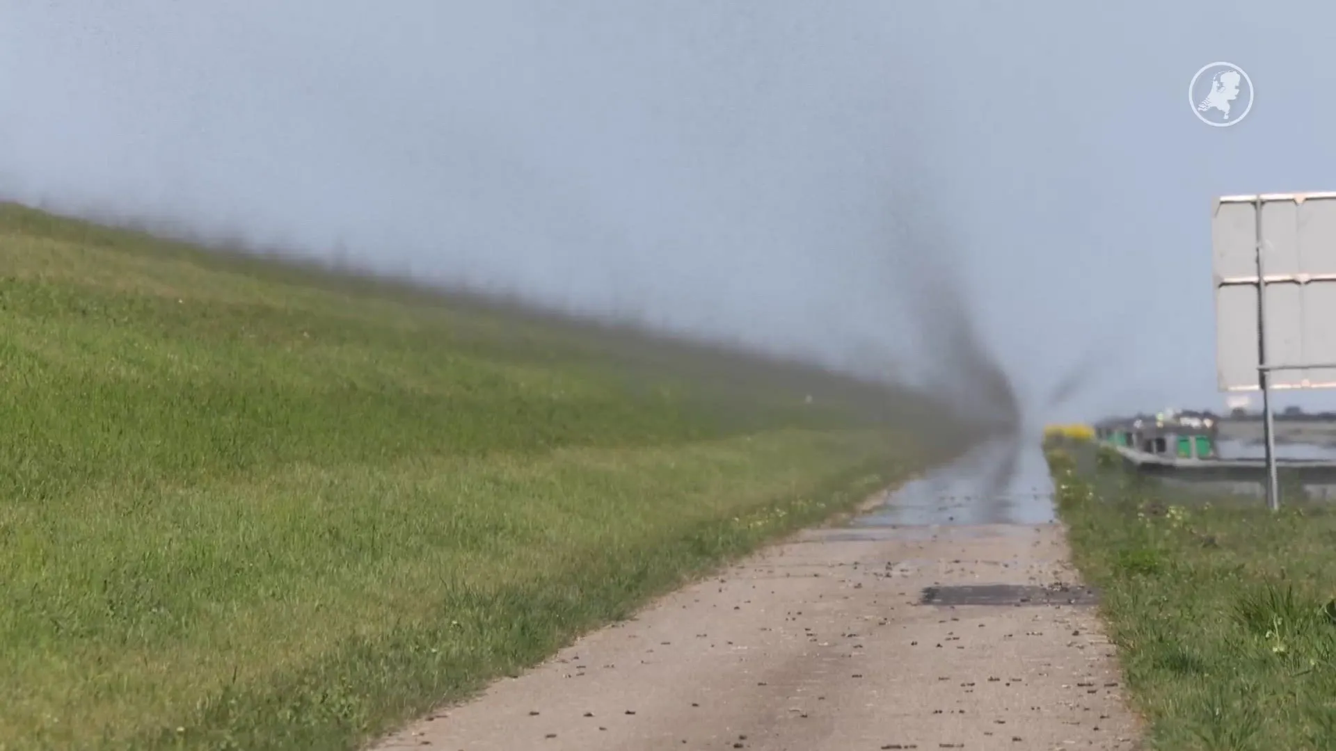 Bijzonder natuurfenomeen komende dagen bij Afsluitdijk: miljoenen dansmuggen kleuren lucht