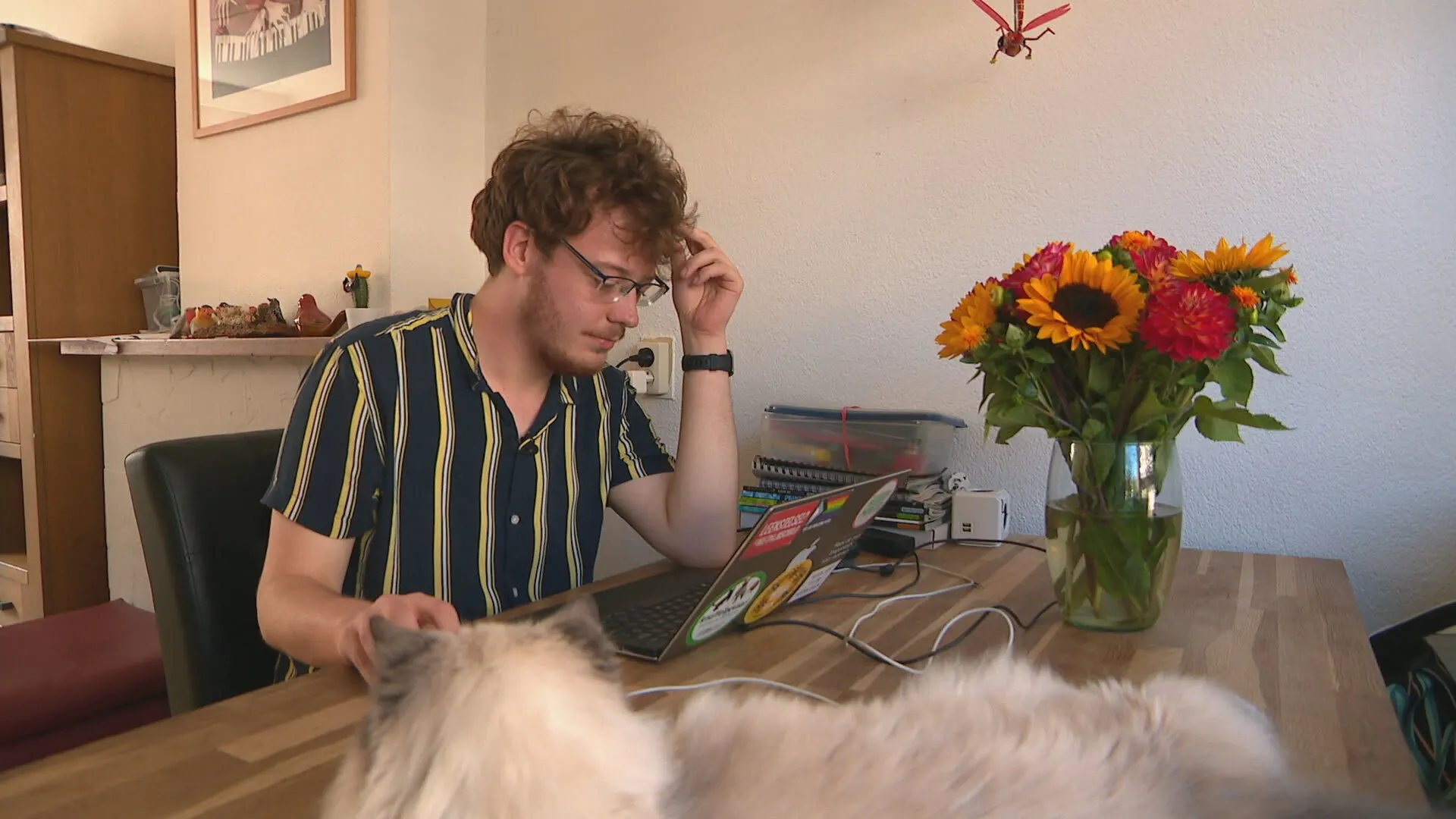 Einde leenstelsel in zicht, wat te doen met de 'pechgeneratie'? 'Al bijna 70.000 euro schuld'