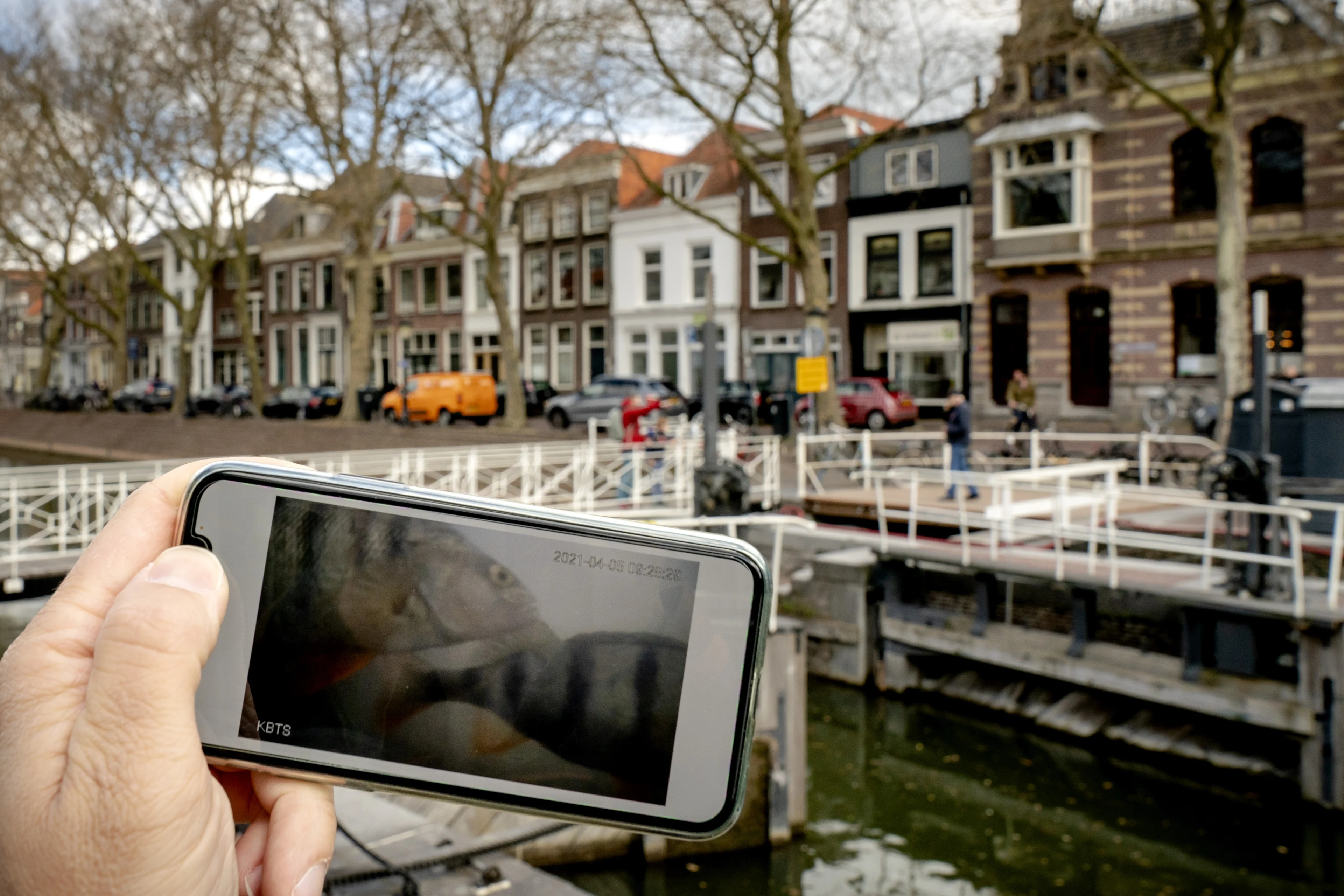 Visdeurbel in Utrecht populairder dan ooit: hele wereld kijkt mee met onderwatercamera