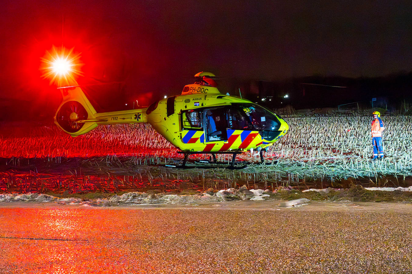 Twee honden dood na aanrijding in Oss, baasje overlijdt later