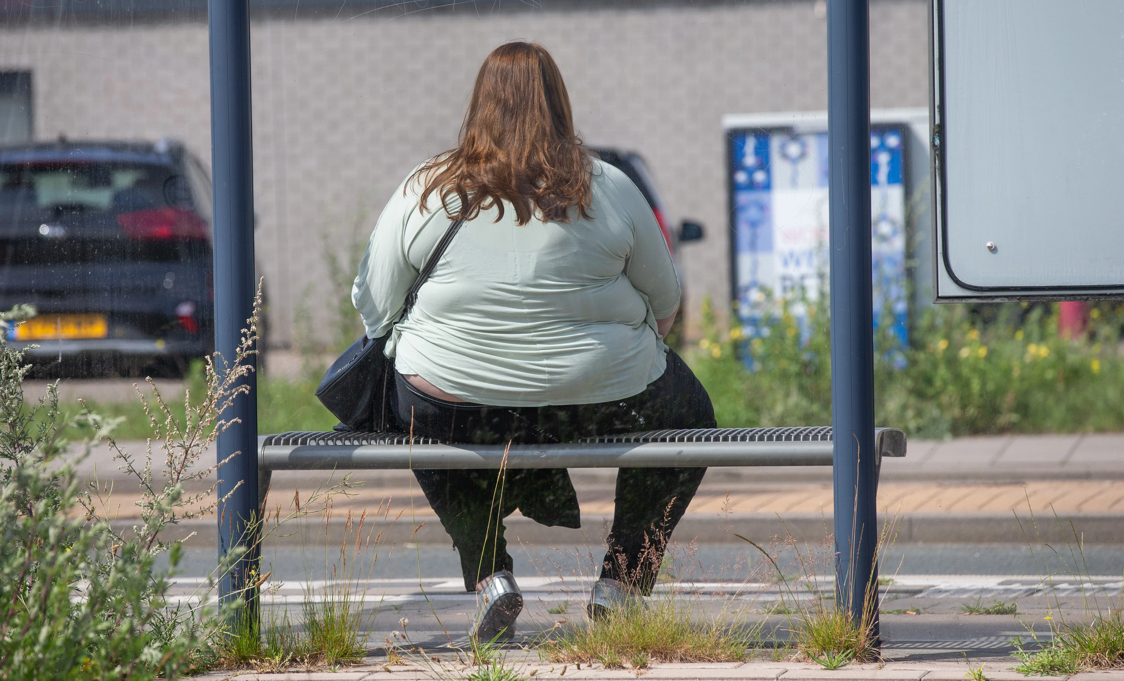 Gezondheidsfondsen willen gezonde voeding via wet afdwingen, want we worden te dik