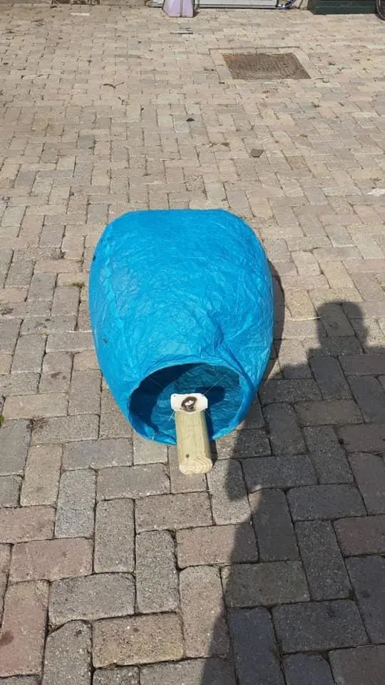 Paard Twix schrikt van wensballon en raakt ernstig gewond, eigenaren zamelen geld in voor herstel