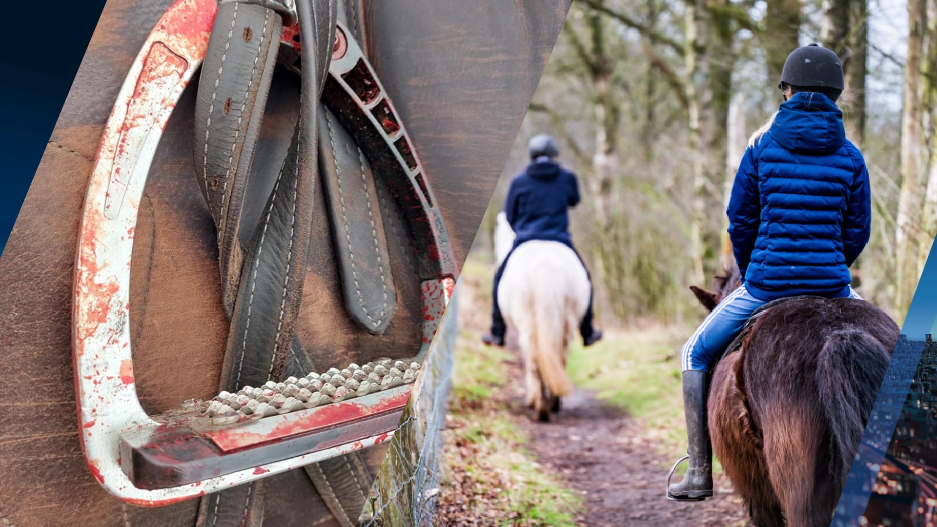 Loslopende hond bijt paard, ruiter zwaargewond naar ziekenhuis
