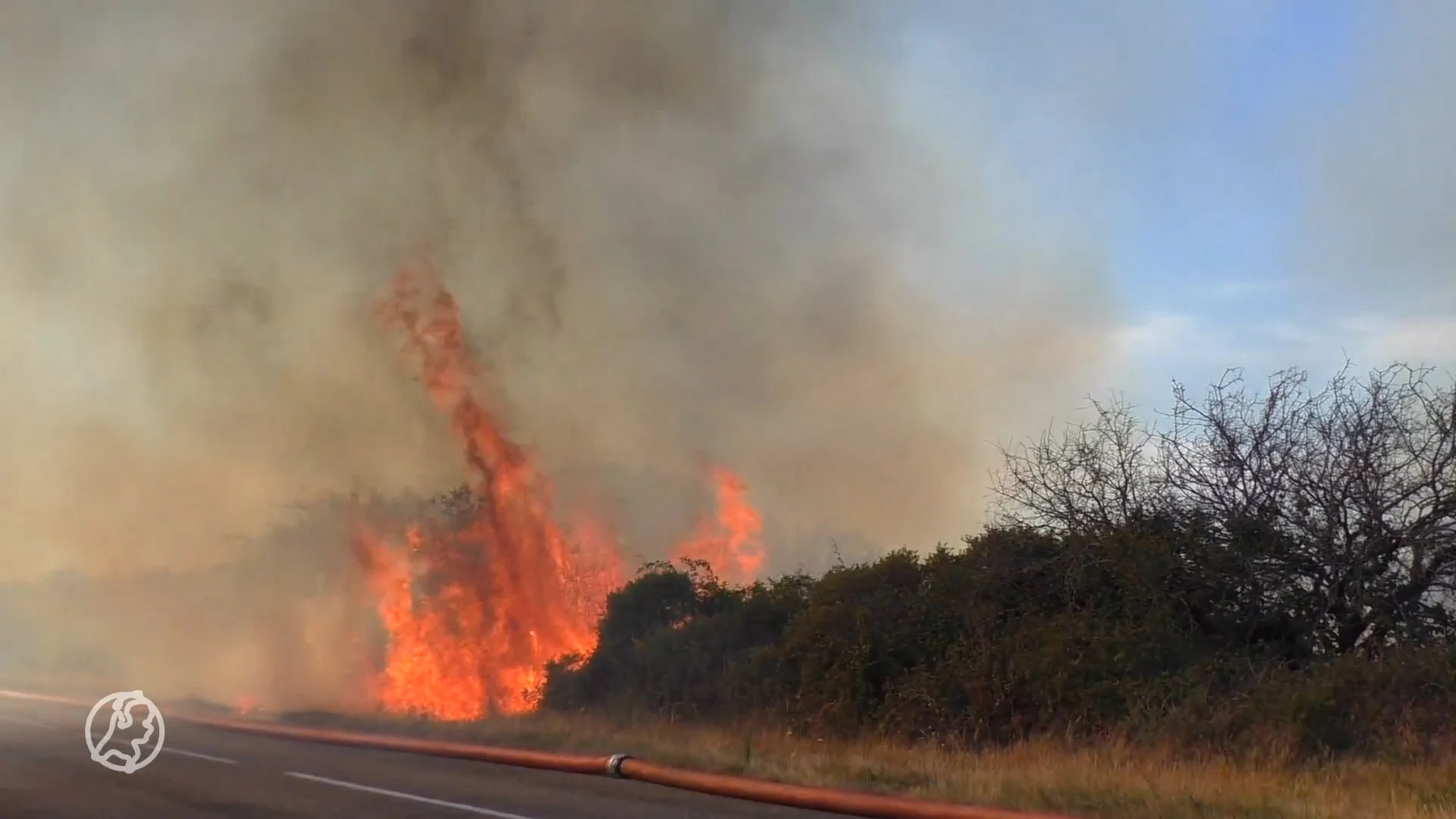 Verhoogde kans op natuurbranden in duingebied rond Den Haag