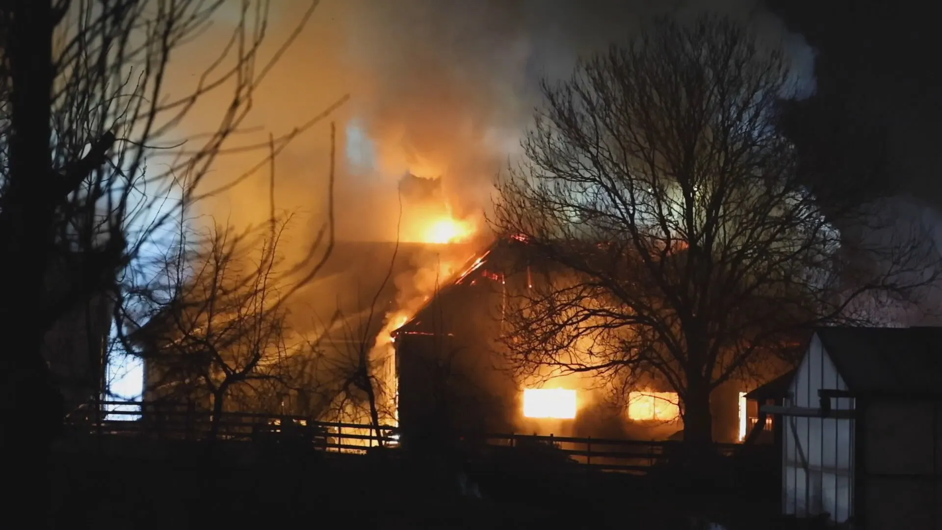 Tientallen schapen en lammetjes dood door brand in Maassluis