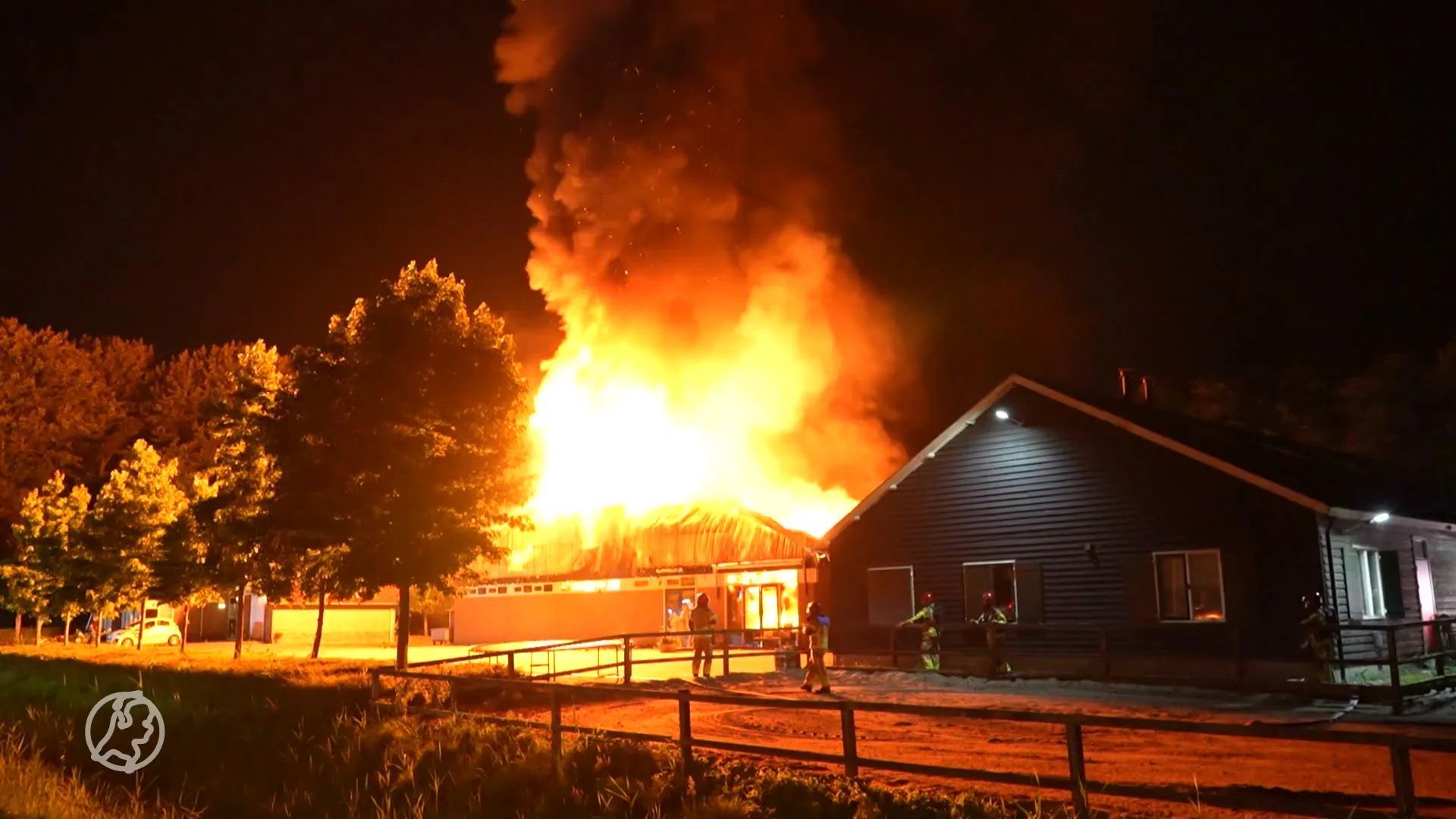 Grote brand paardenstal Zeewolde: kost achttien paarden het leven