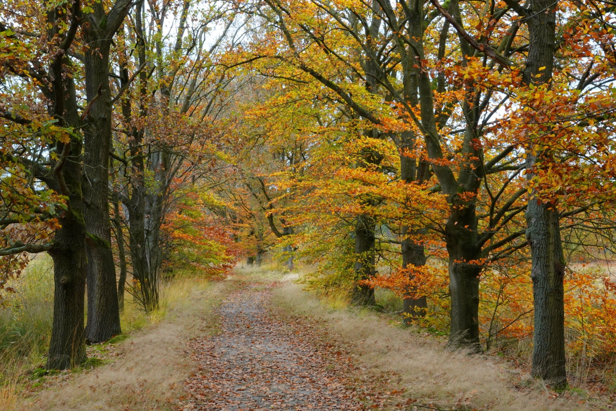 Goed nieuws: het wordt droger en de zon komt weer tevoorschijn