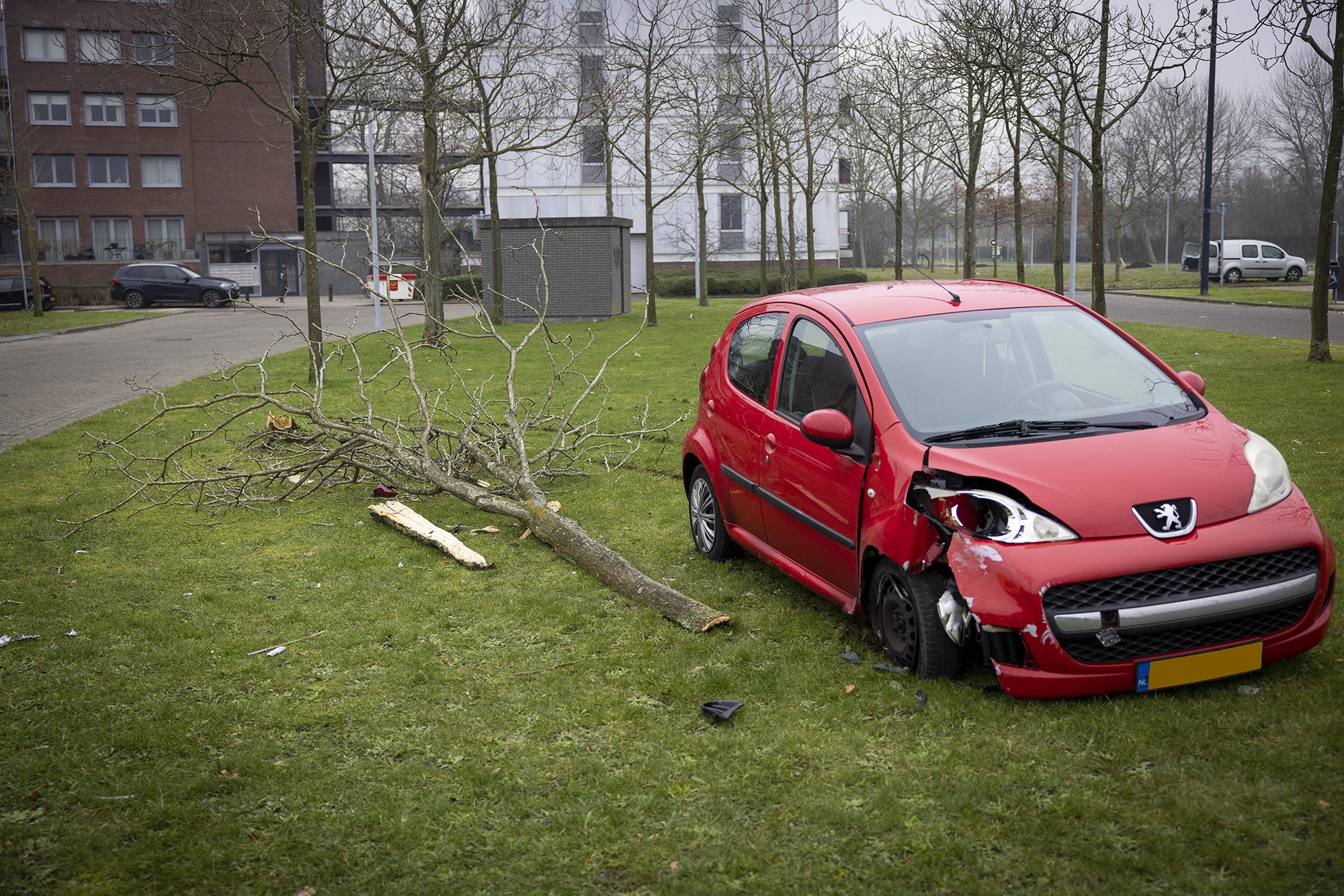 Twee kinderen pakken auto en raken gewond bij crash tegen boom 