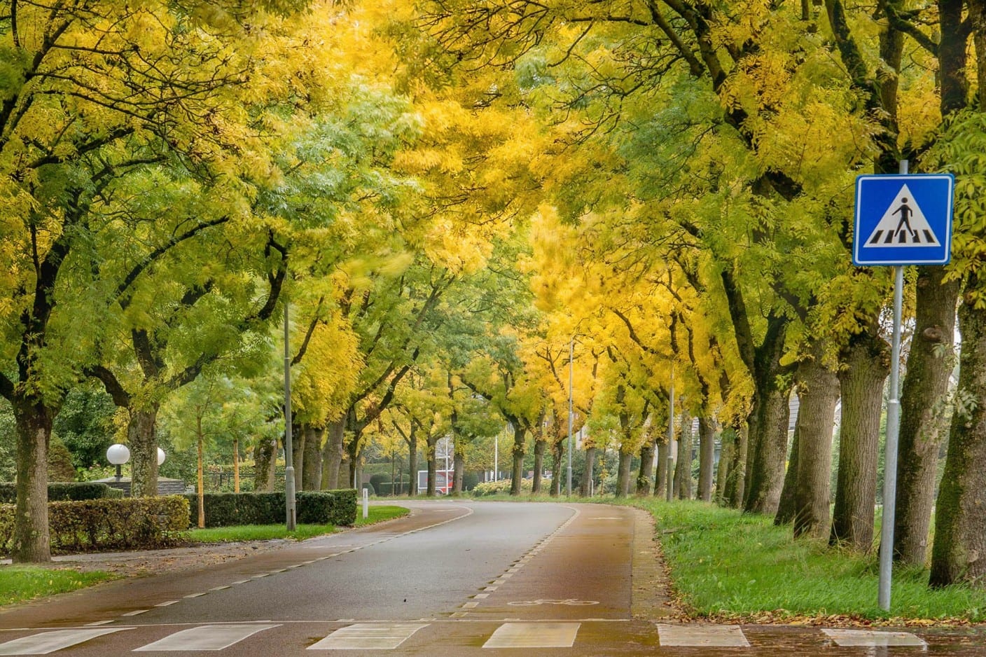 Wisselvallig en koud weer: zon breekt tussen de buien door