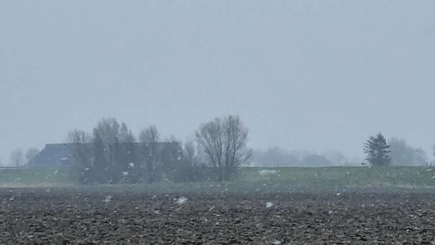 Het wordt weer kouder: kans op sneeuw- en hagelbuien