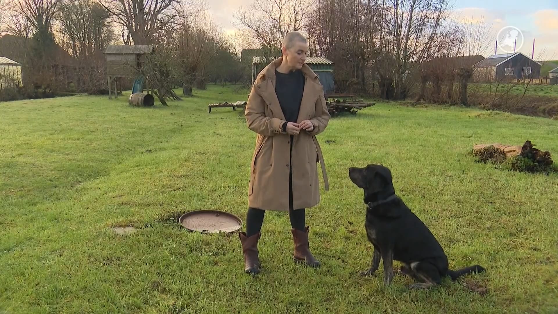 Kauwbotten maken honden doodziek, Barbara's labrador Bingo verdronk bijna