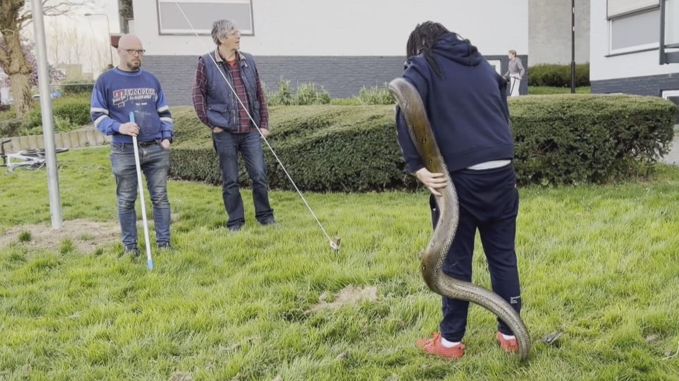 ZIEN: buurtbewoners vinden meterslange slang in Vaals