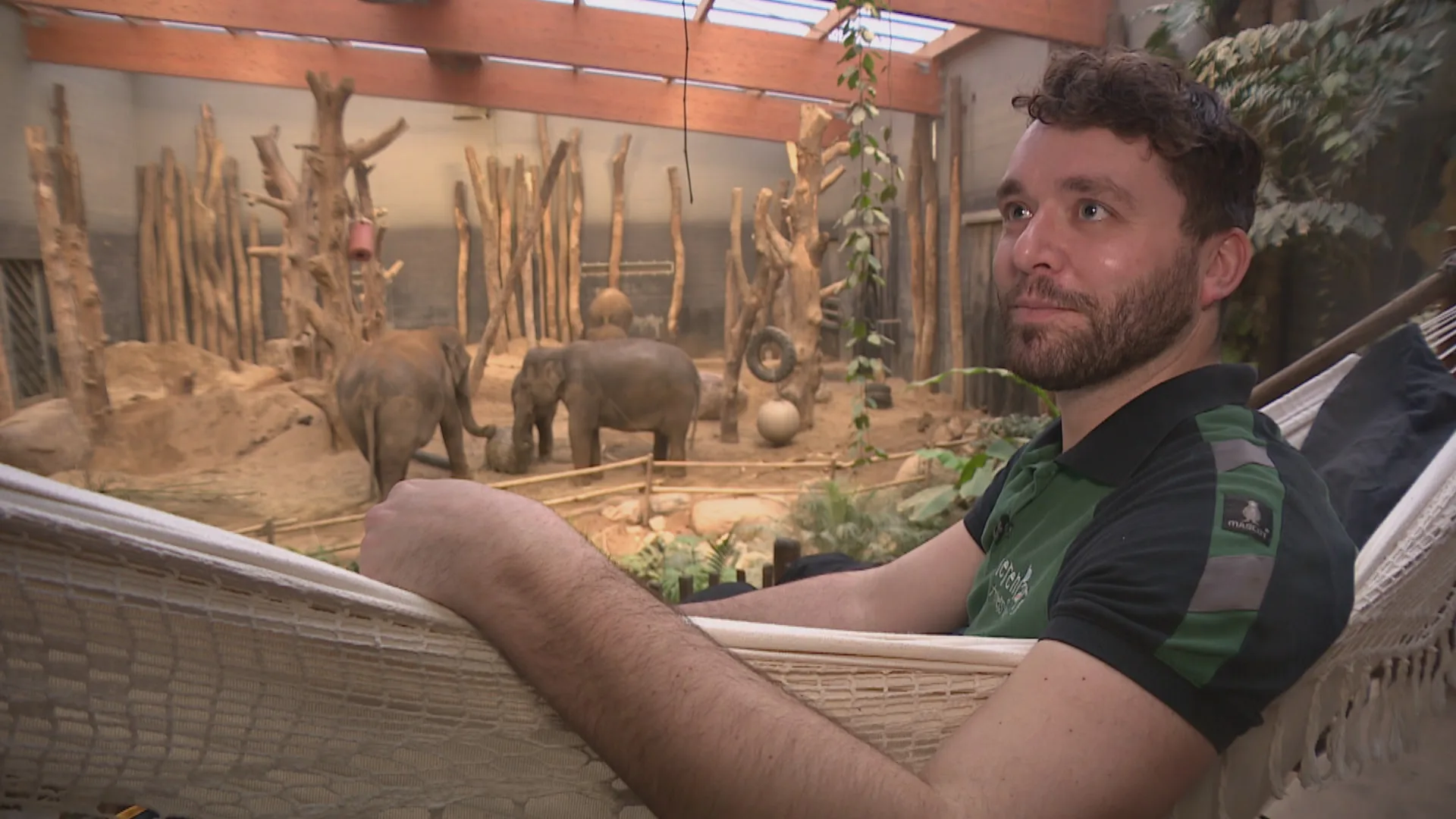 Olifant Indra staat op knappen, babyolifantje kan ieder moment komen