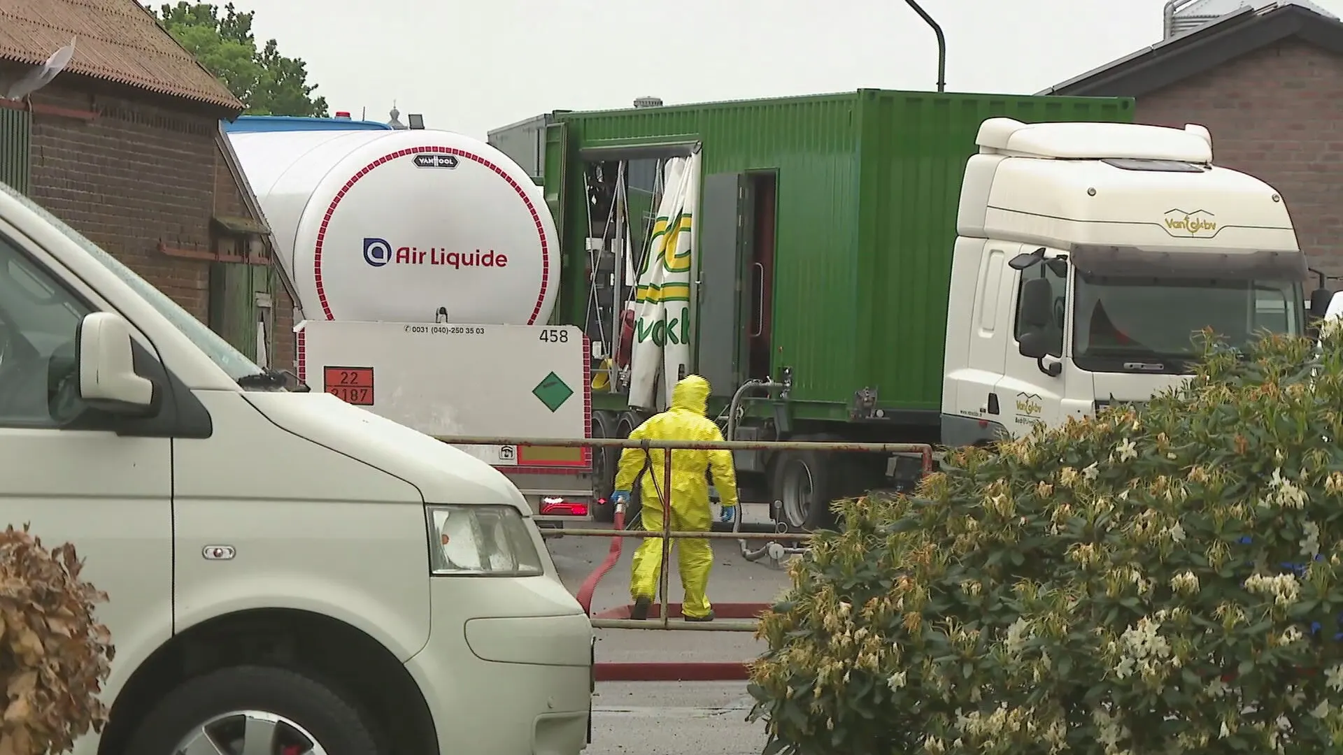 Duizenden kalkoenen en hennen geruimd in Weert vanwege vogelgriep