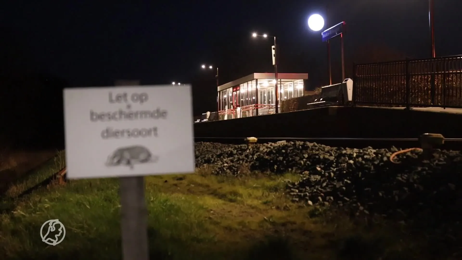 Onduidelijk wanneer treinen tussen Den Bosch en Eindhoven weer rijden: waar komt de das ineens vandaan?