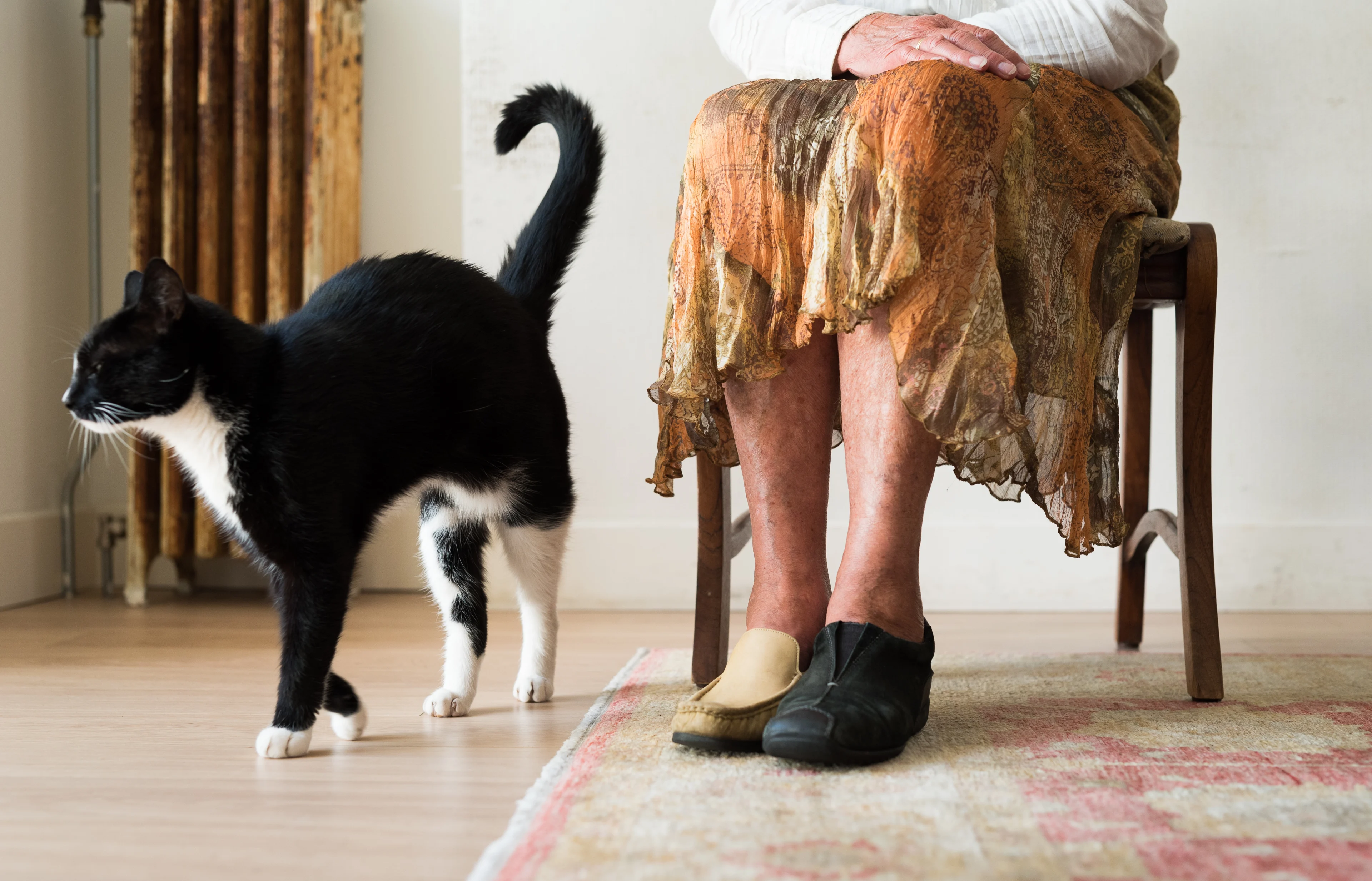 Zorginstituut wil Leqembi niet in basispakket, alzheimermedicijn doet te weinig