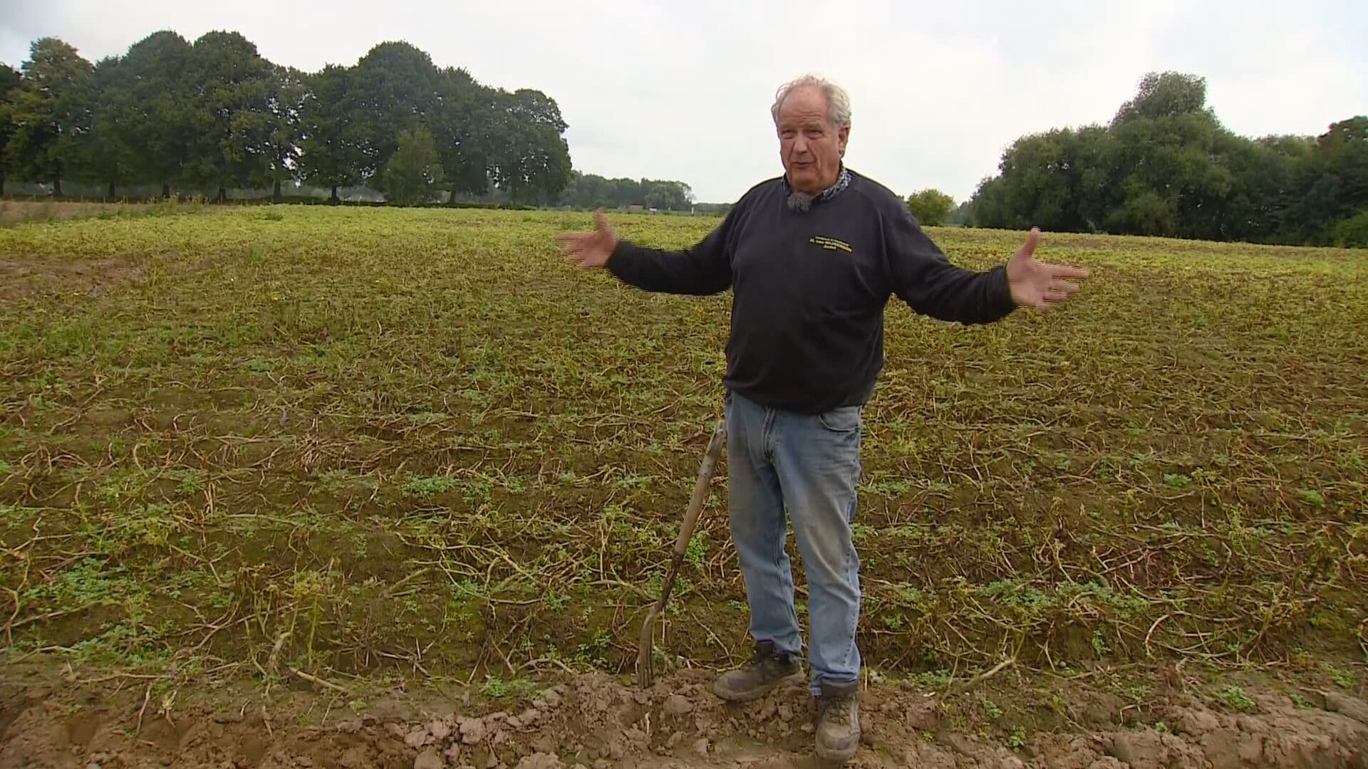 Brabantse boeren willen ook compensatie na overstromingen: 'Rivier stopt niet in Limburg'