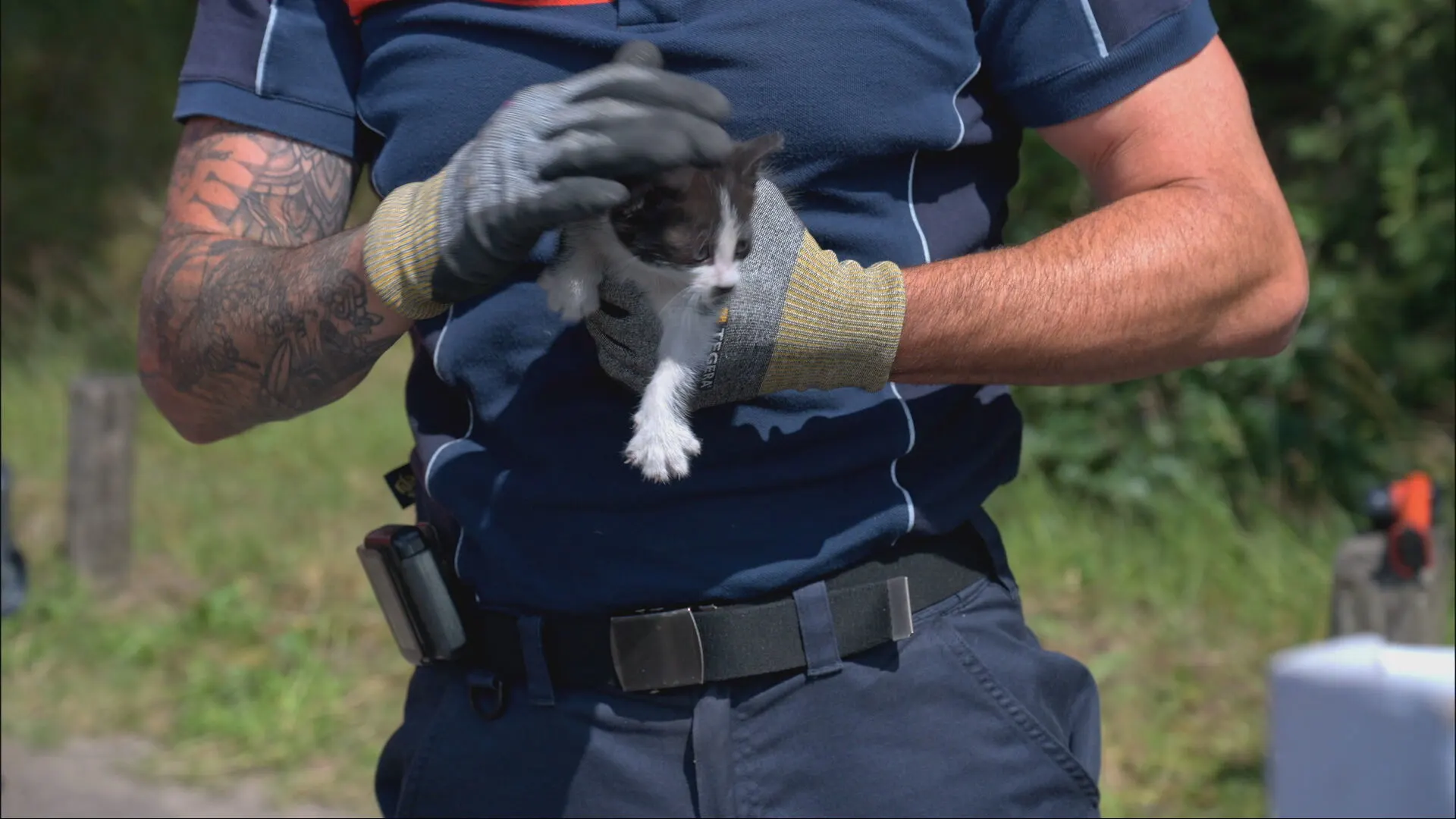 Brandweer redt kitten onder auto vandaan in Breda