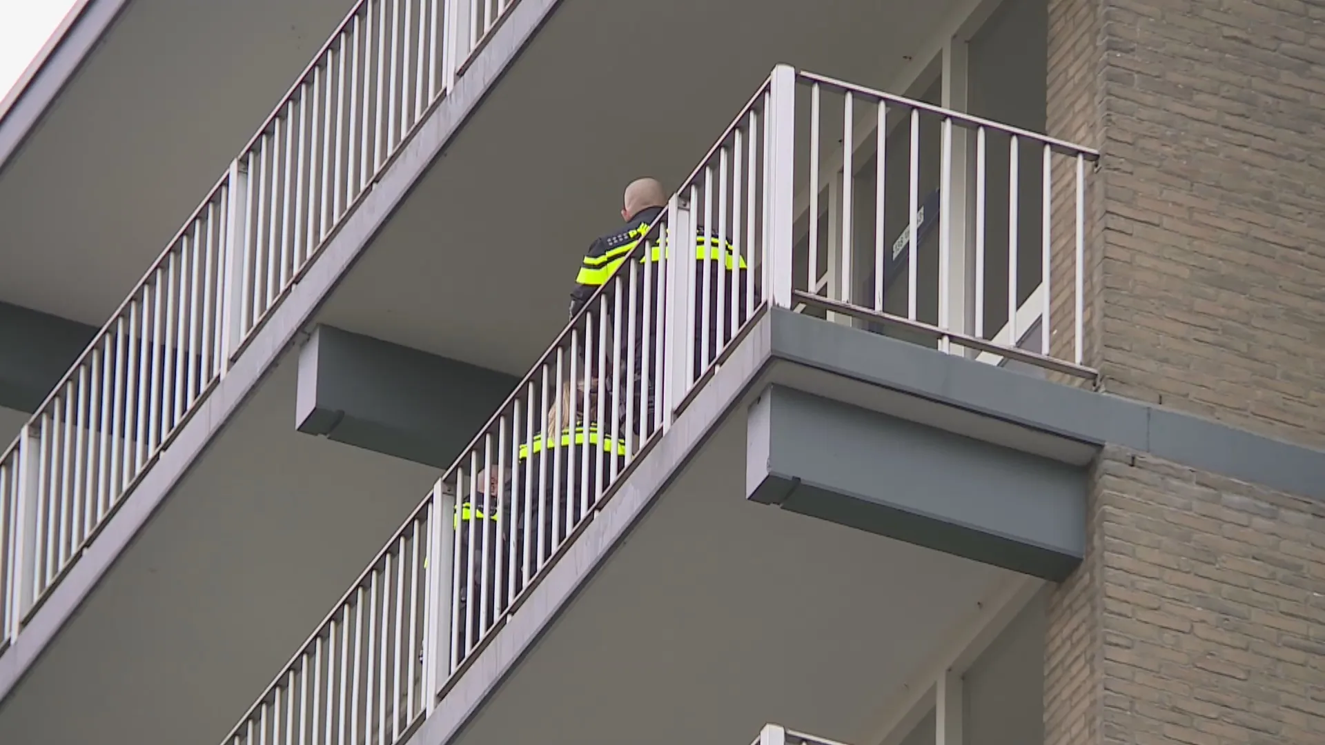 Agenten mishandeld bij woninginval Geleen om hennepplantage